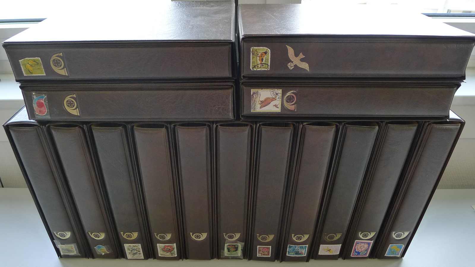 VÖGEL & BLUMEN (Schmetterlinge & Fische) 1876-1995, erstklassige ...