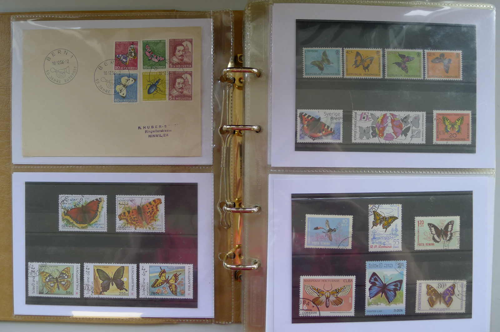 Image 1 for lot number 0006000962 for Luzernerraute Webshop 