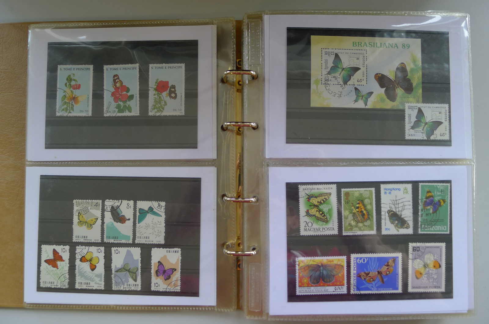 Image 2 for lot number 0006000962 for Luzernerraute Webshop 