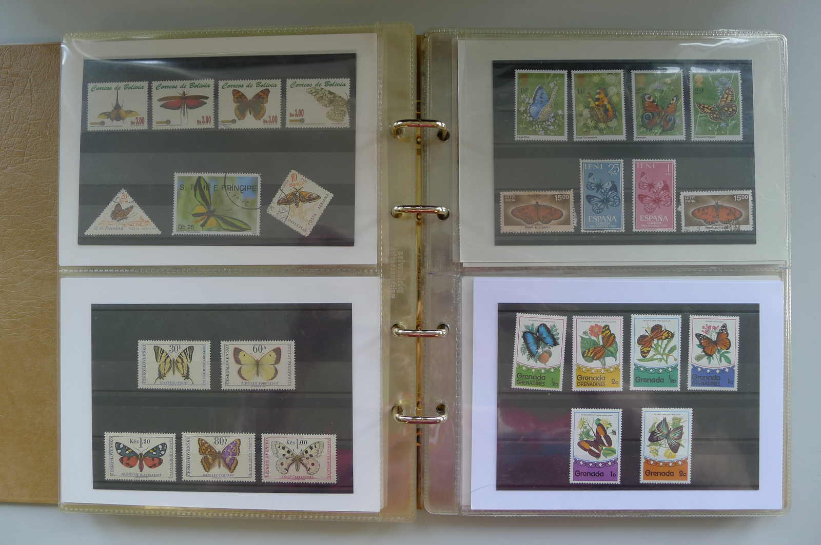 Image 3 for lot number 0006000962 for Luzernerraute Webshop 