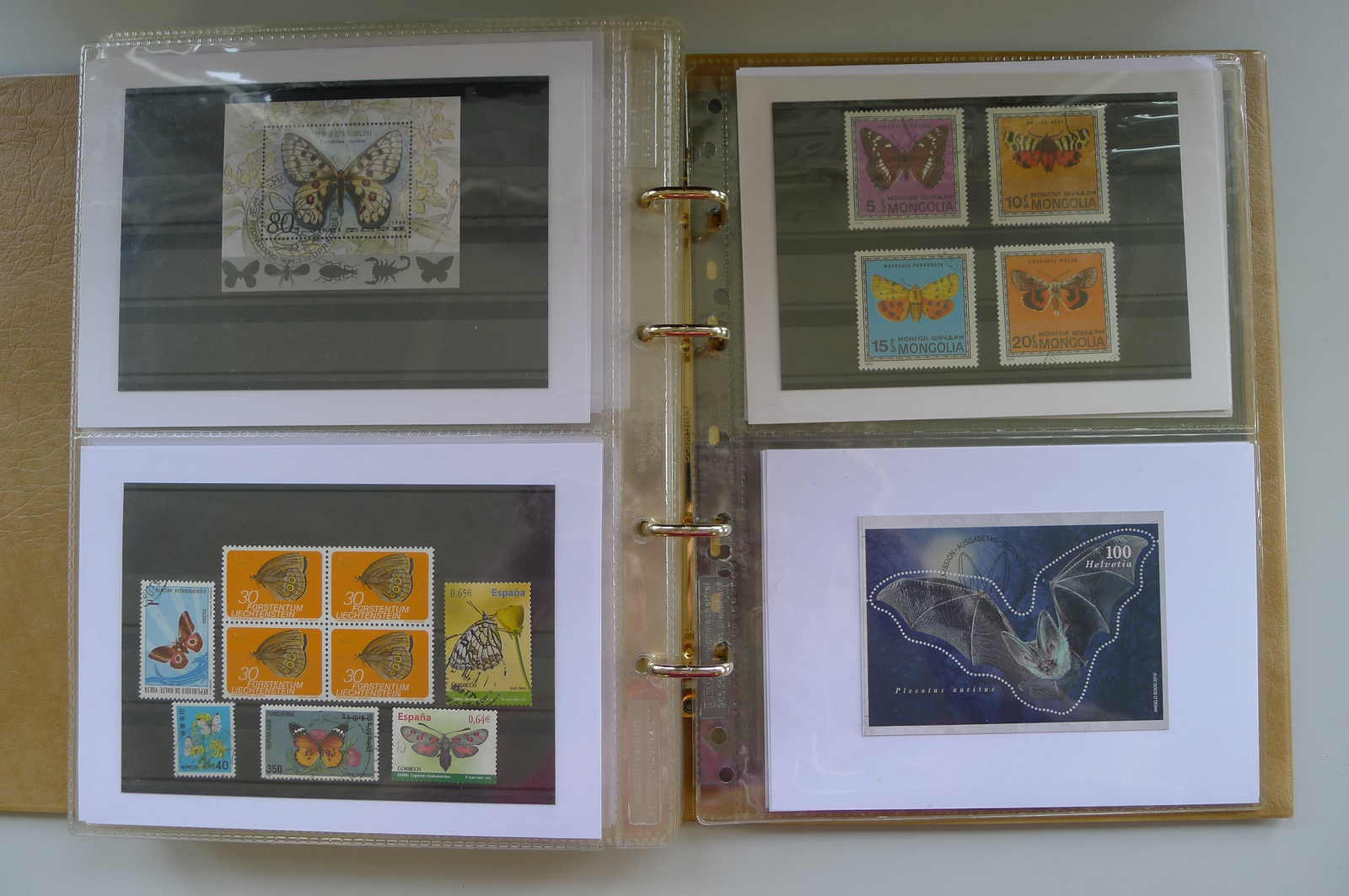 Image 4 for lot number 0006000962 for Luzernerraute Webshop 