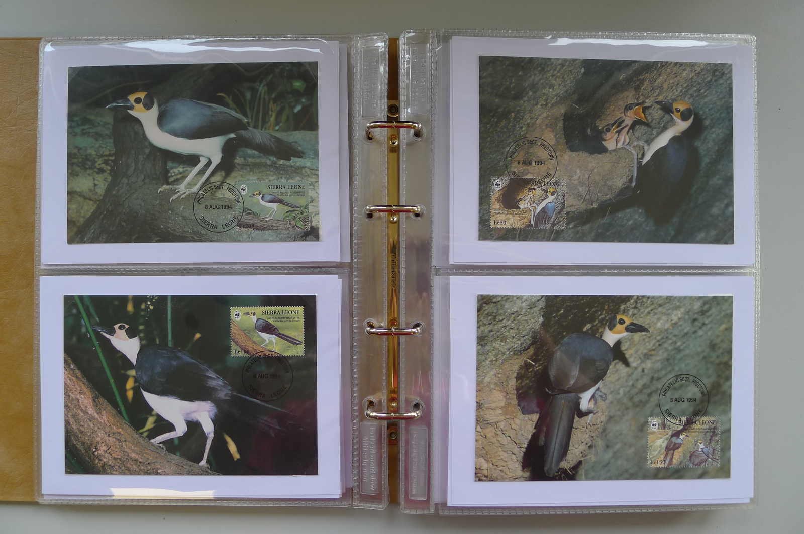 Image 6 for lot number 0006000962 for Luzernerraute Webshop 