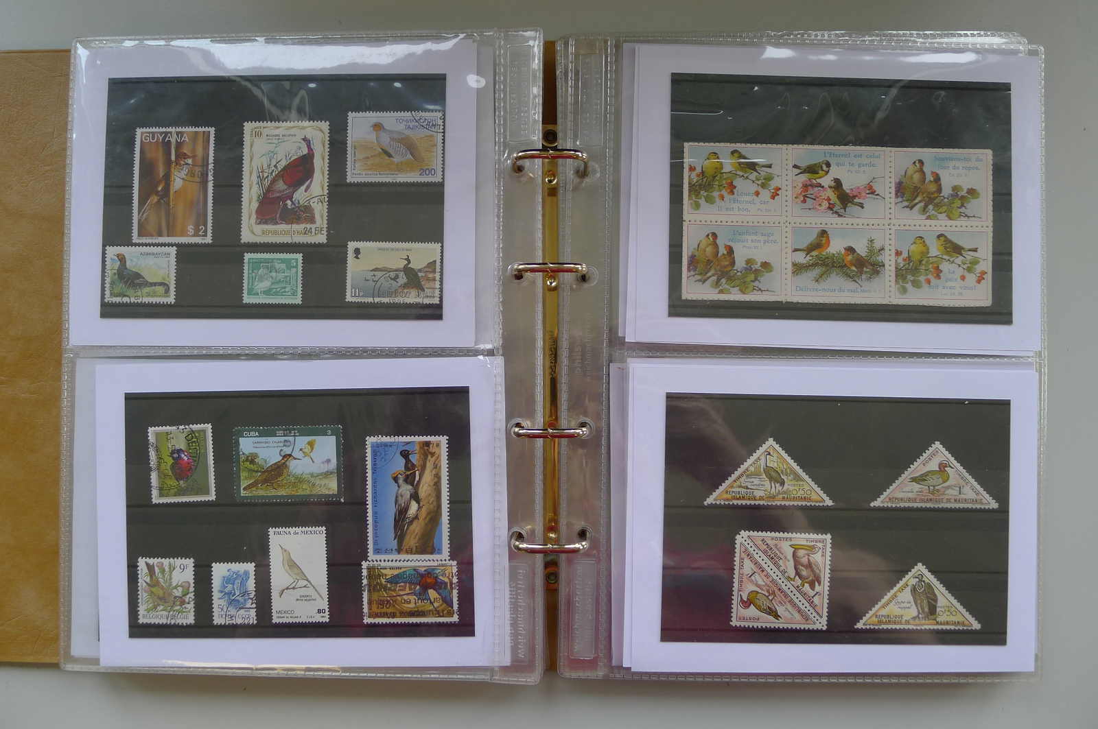 Image 7 for lot number 0006000962 for Luzernerraute Webshop 