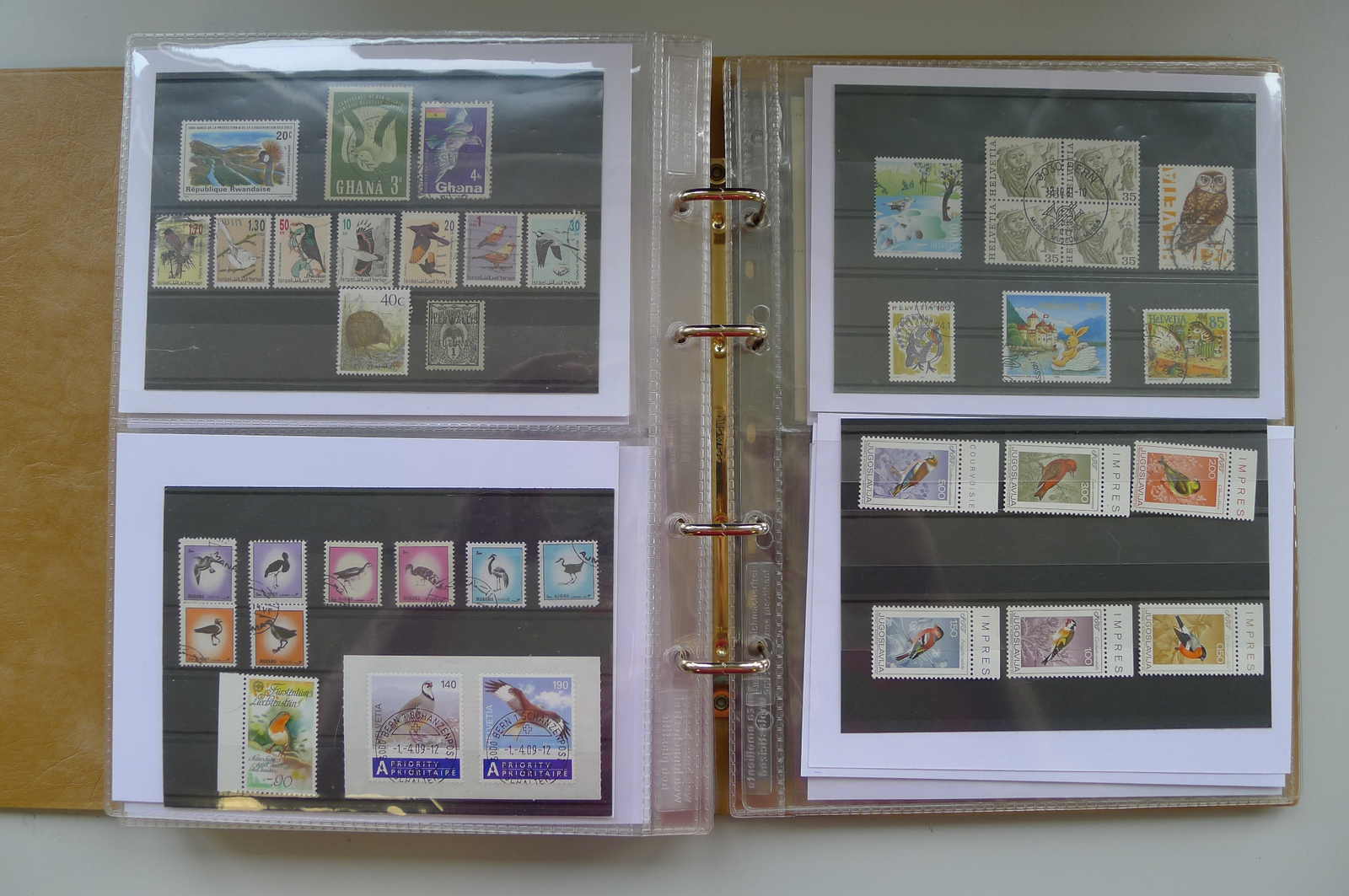 Image 8 for lot number 0006000962 for Luzernerraute Webshop 