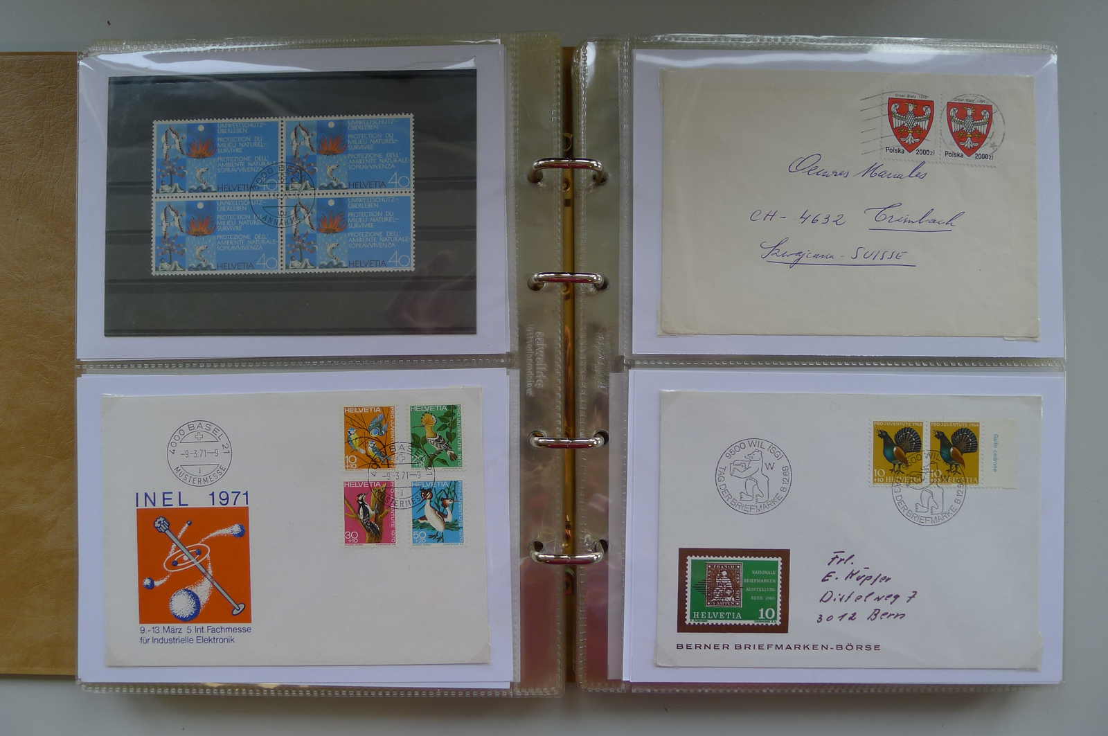 Image 10 for lot number 0006000962 for Luzernerraute Webshop 