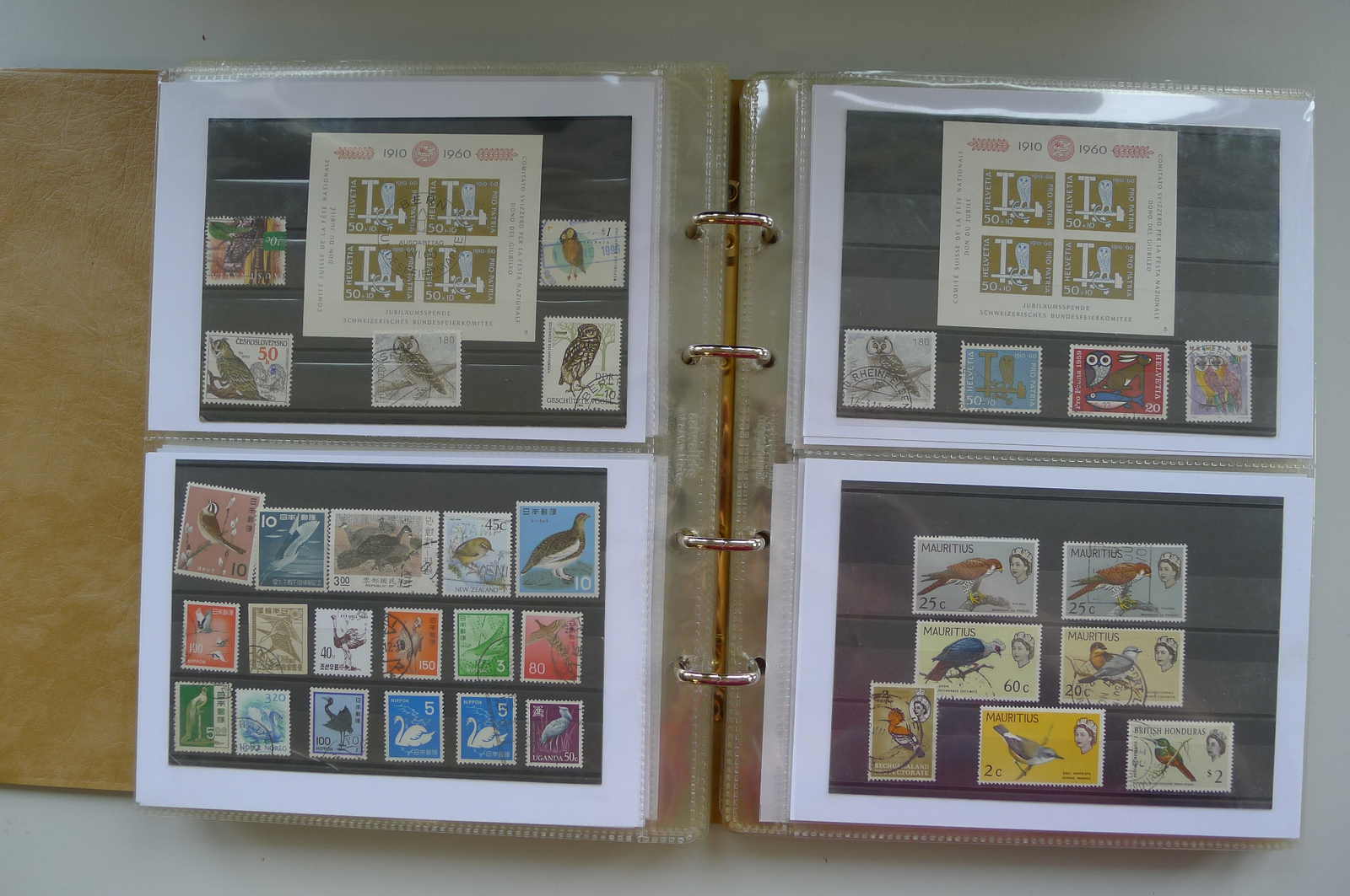 Image 11 for lot number 0006000962 for Luzernerraute Webshop 