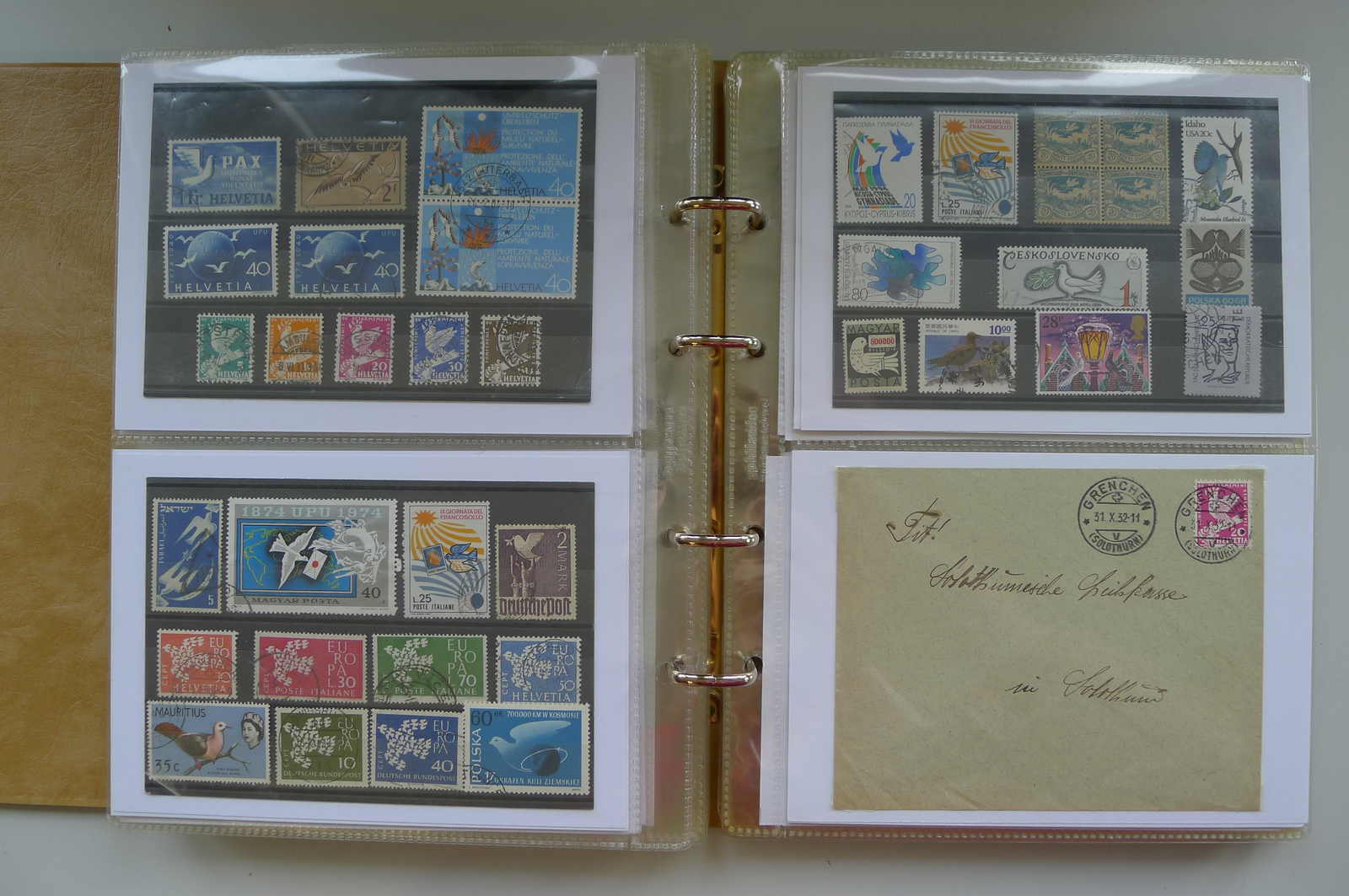 Image 12 for lot number 0006000962 for Luzernerraute Webshop 