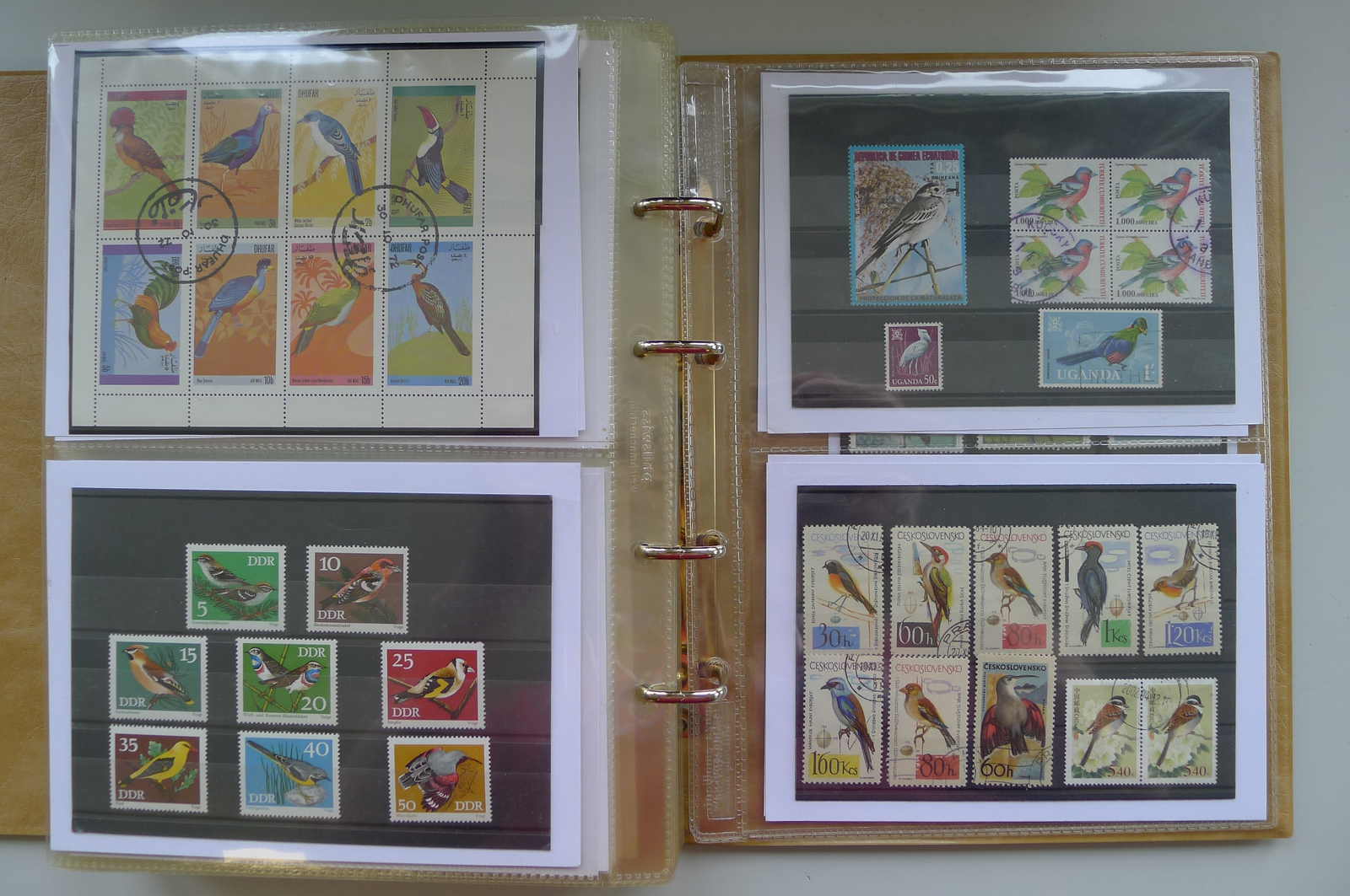 Image 14 for lot number 0006000962 for Luzernerraute Webshop 