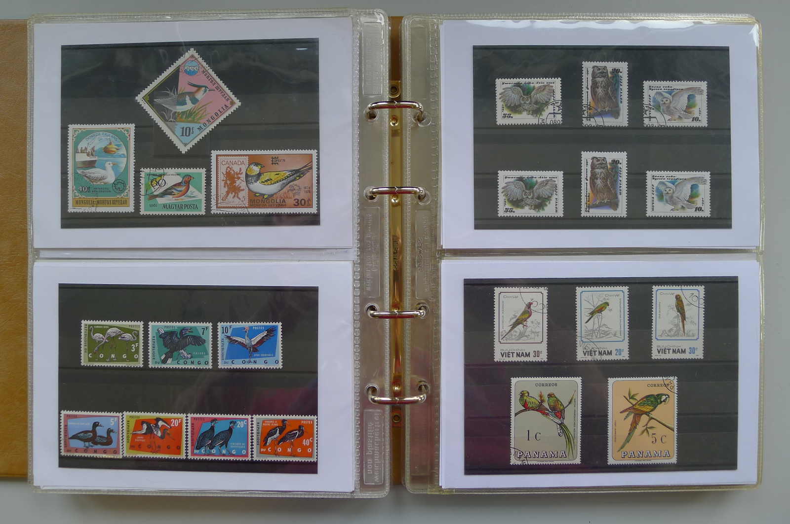 Image 15 for lot number 0006000962 for Luzernerraute Webshop 