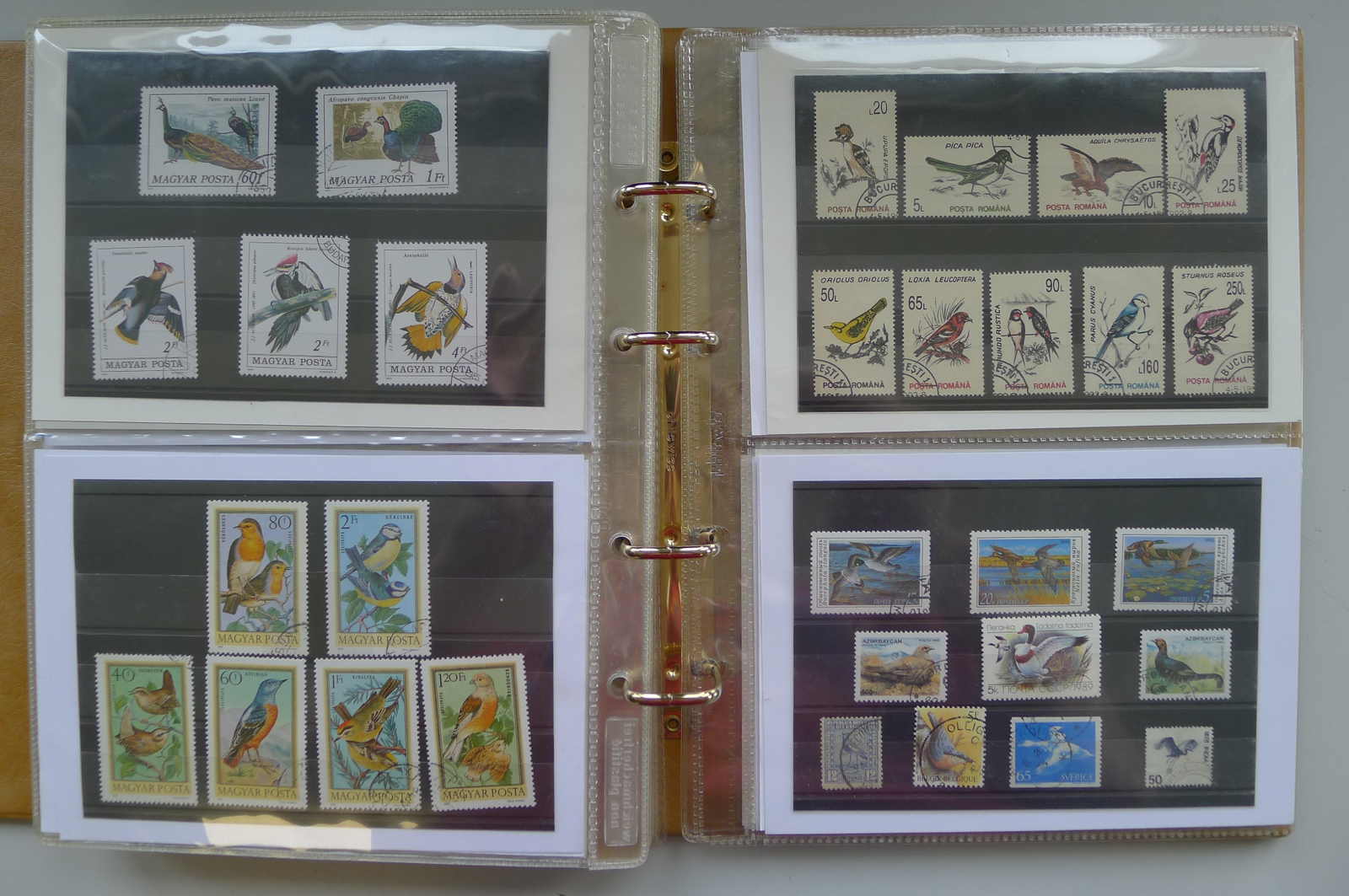 Image 16 for lot number 0006000962 for Luzernerraute Webshop 