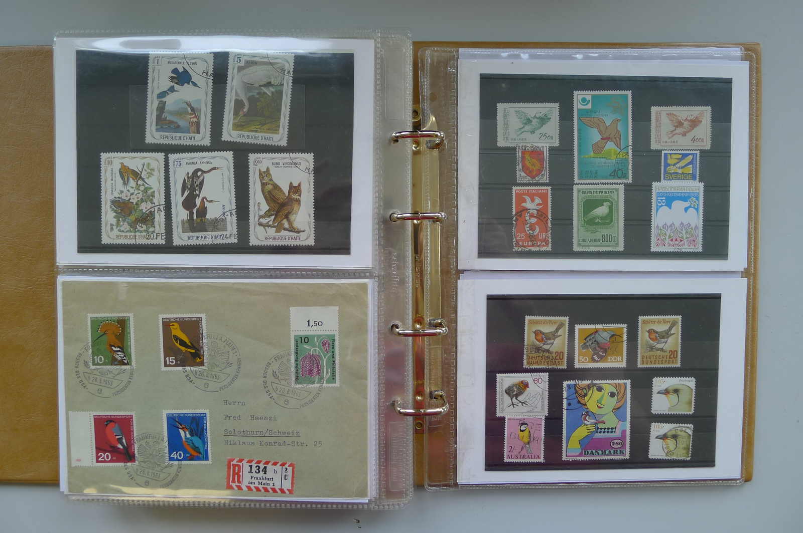 Image 17 for lot number 0006000962 for Luzernerraute Webshop 