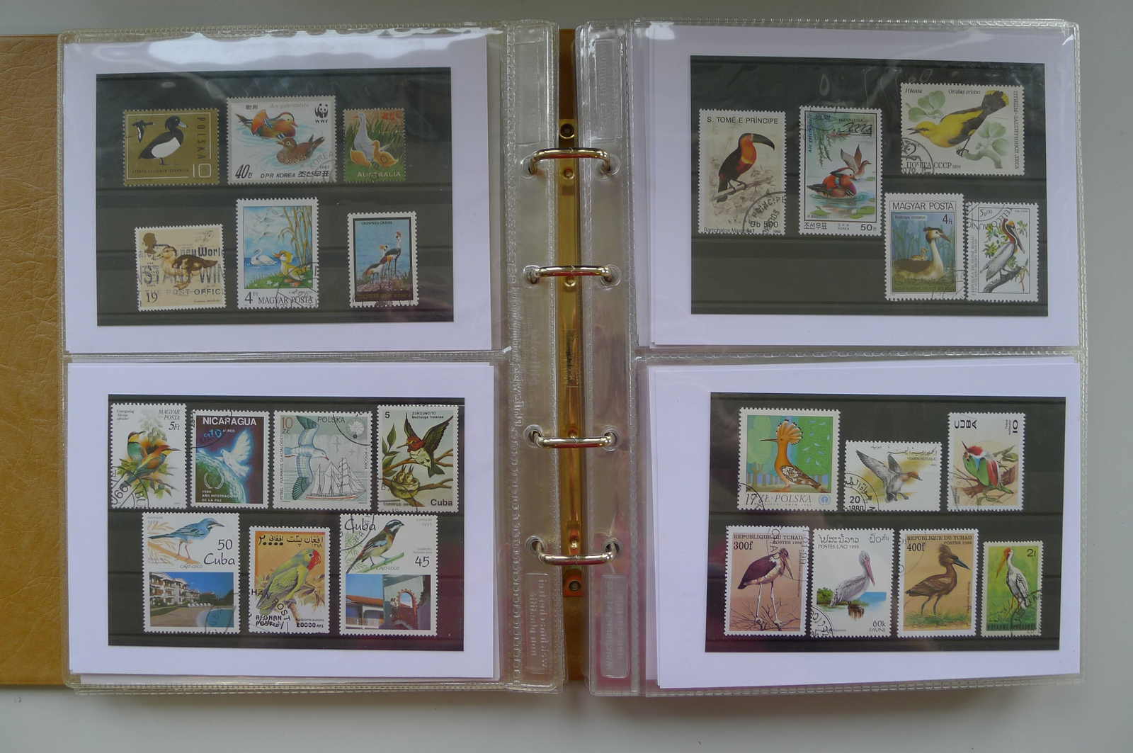 Image 19 for lot number 0006000962 for Luzernerraute Webshop 