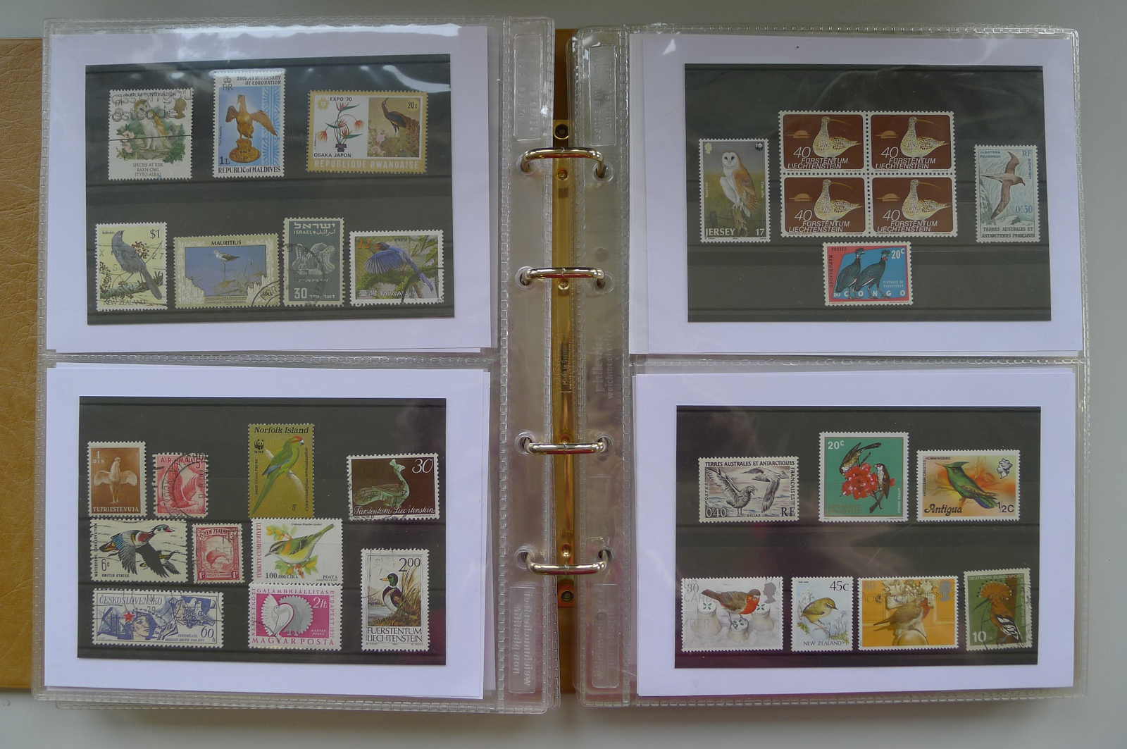 Image 20 for lot number 0006000962 for Luzernerraute Webshop 