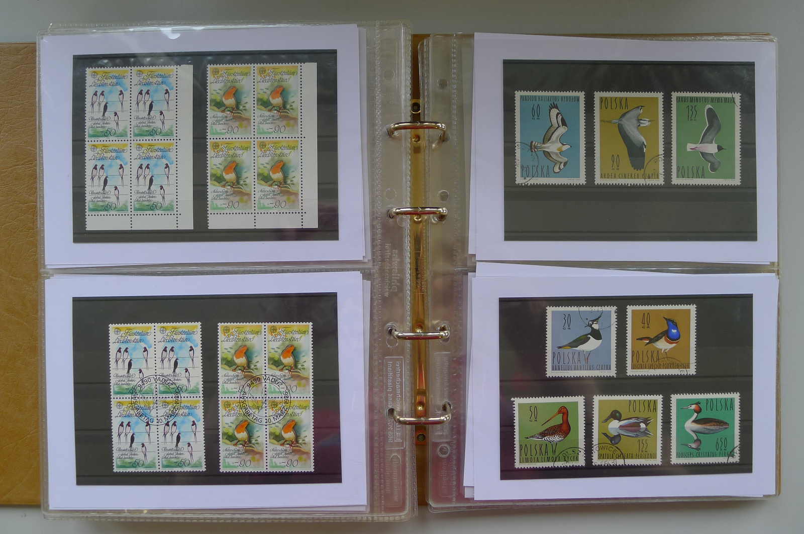 Image 21 for lot number 0006000962 for Luzernerraute Webshop 