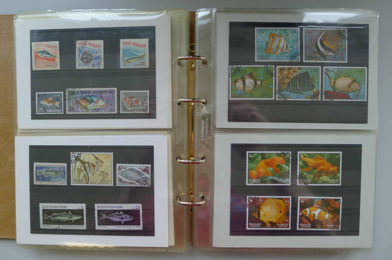 Image 23 for lot number 0006000962 for Luzernerraute Webshop 