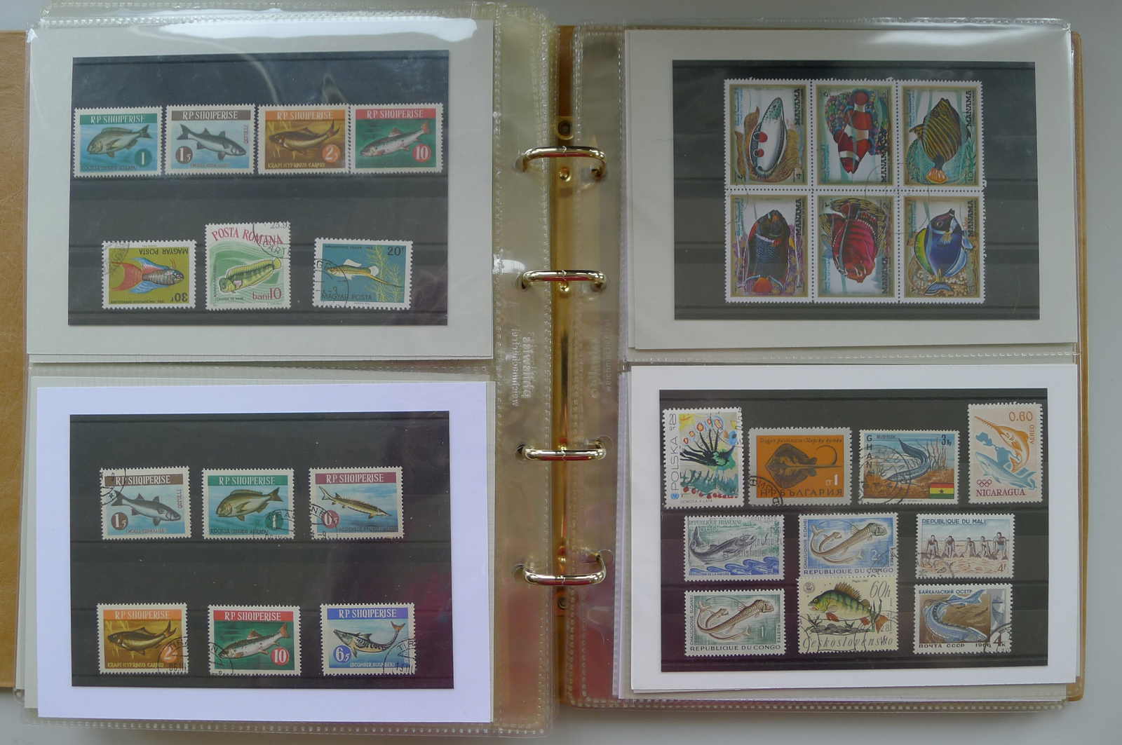 Image 24 for lot number 0006000962 for Luzernerraute Webshop 