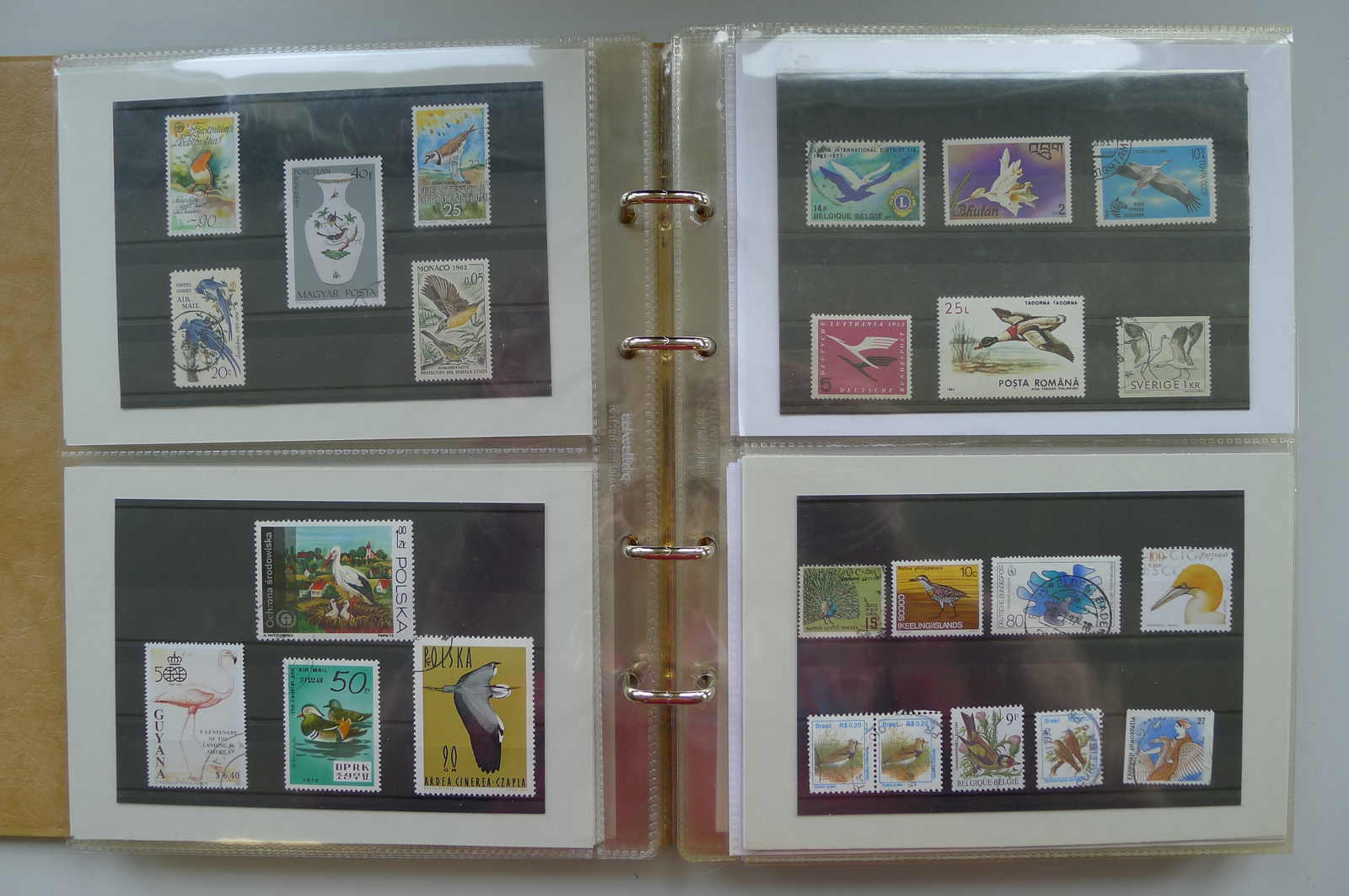 Image 25 for lot number 0006000962 for Luzernerraute Webshop 