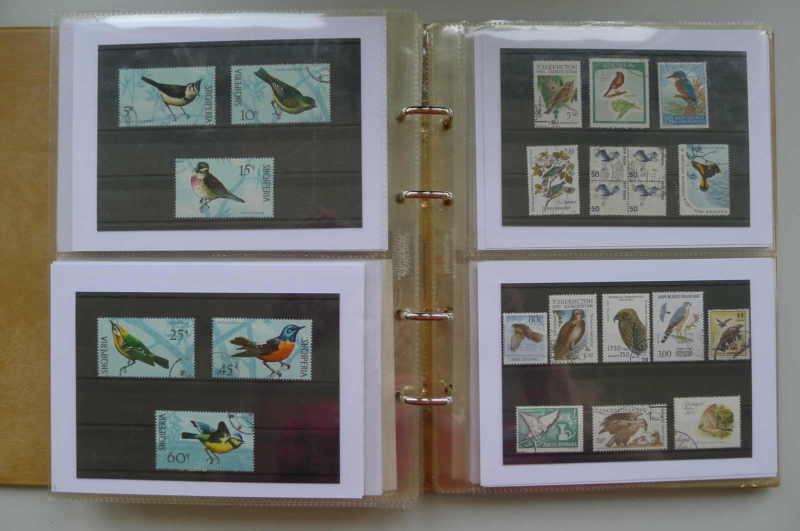 Image 27 for lot number 0006000962 for Luzernerraute Webshop 