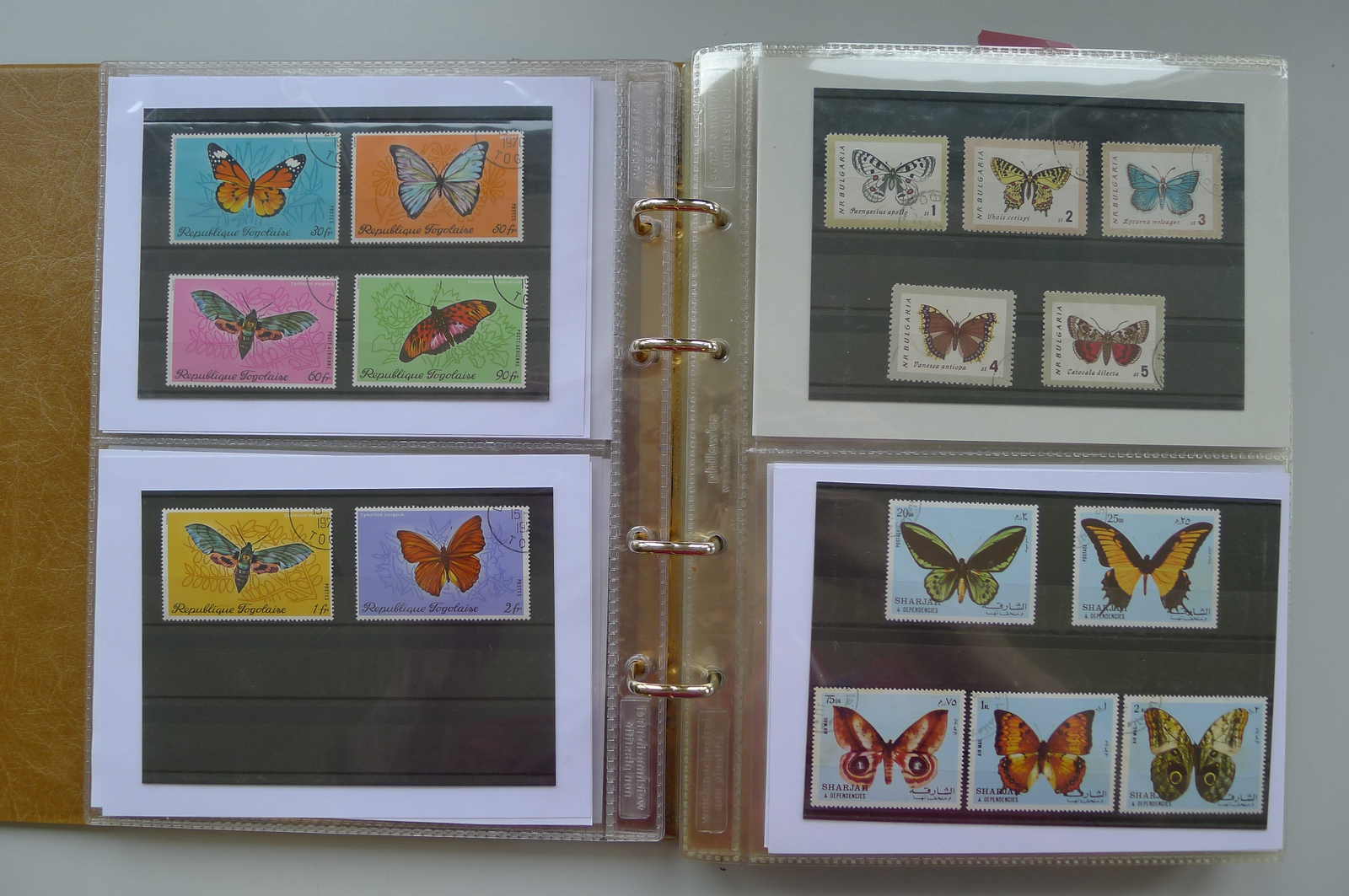 Image 28 for lot number 0006000962 for Luzernerraute Webshop 