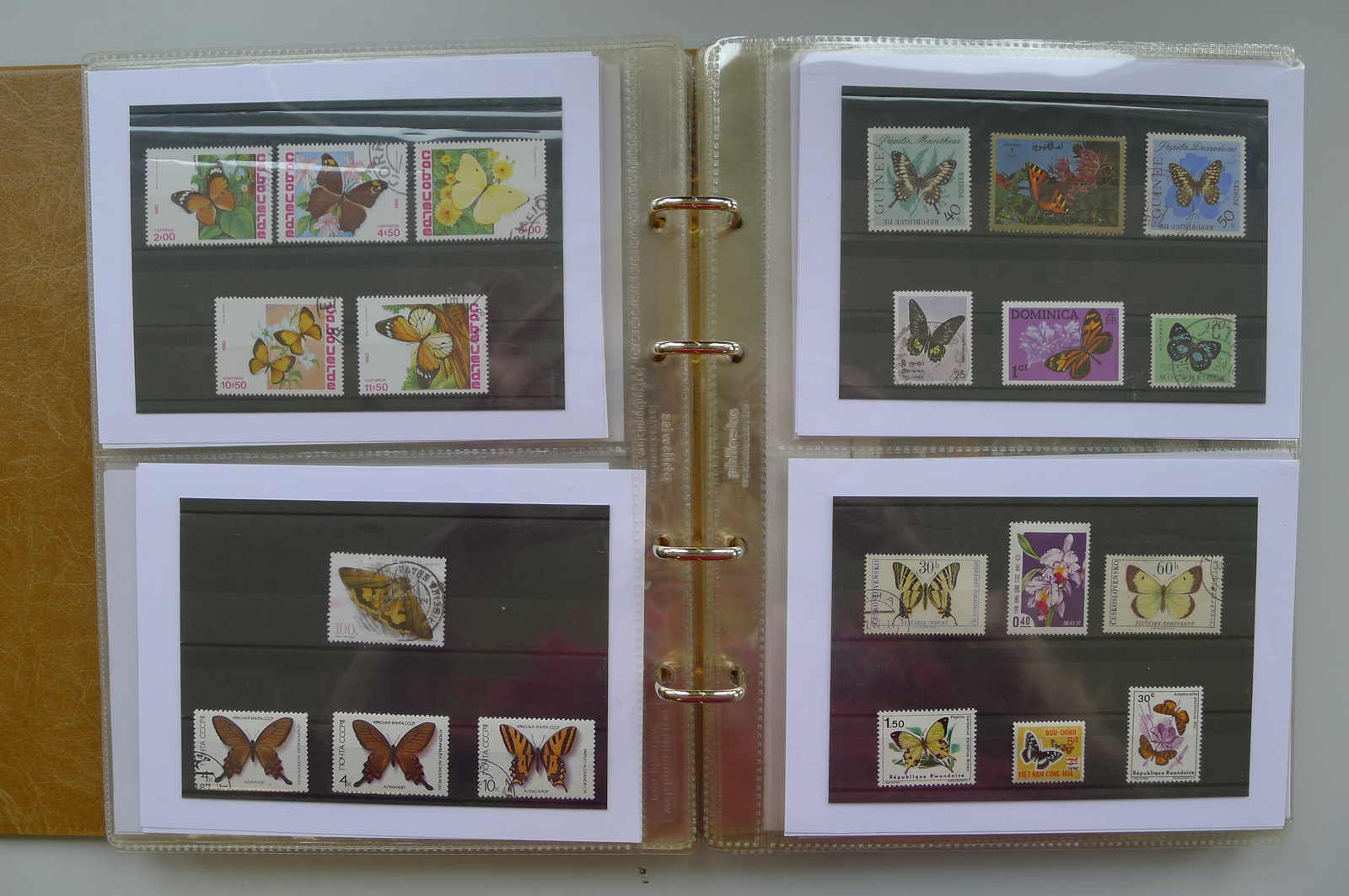 Image 29 for lot number 0006000962 for Luzernerraute Webshop 