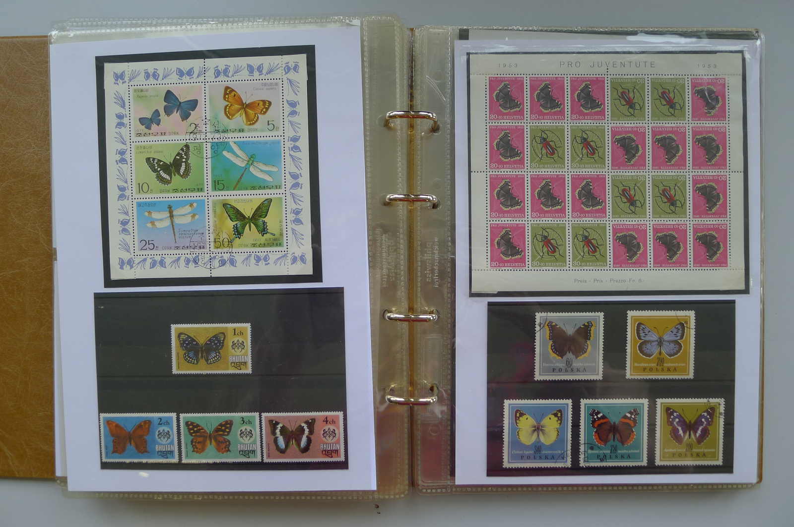 Image 31 for lot number 0006000962 for Luzernerraute Webshop 