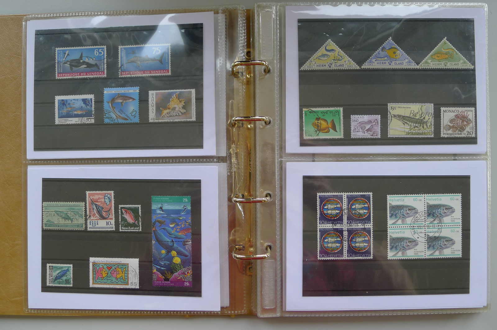 Image 33 for lot number 0006000962 for Luzernerraute Webshop 