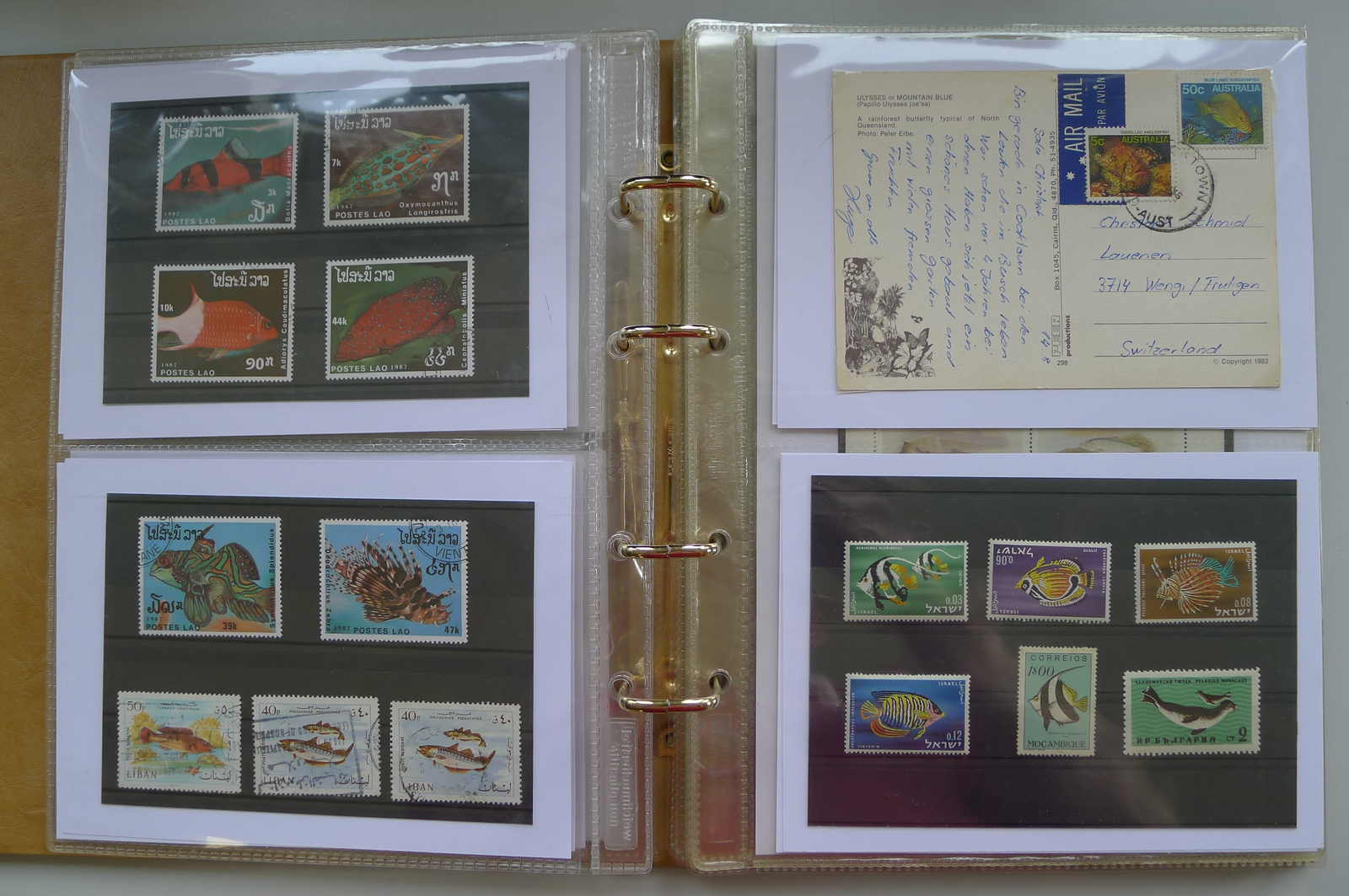 Image 34 for lot number 0006000962 for Luzernerraute Webshop 