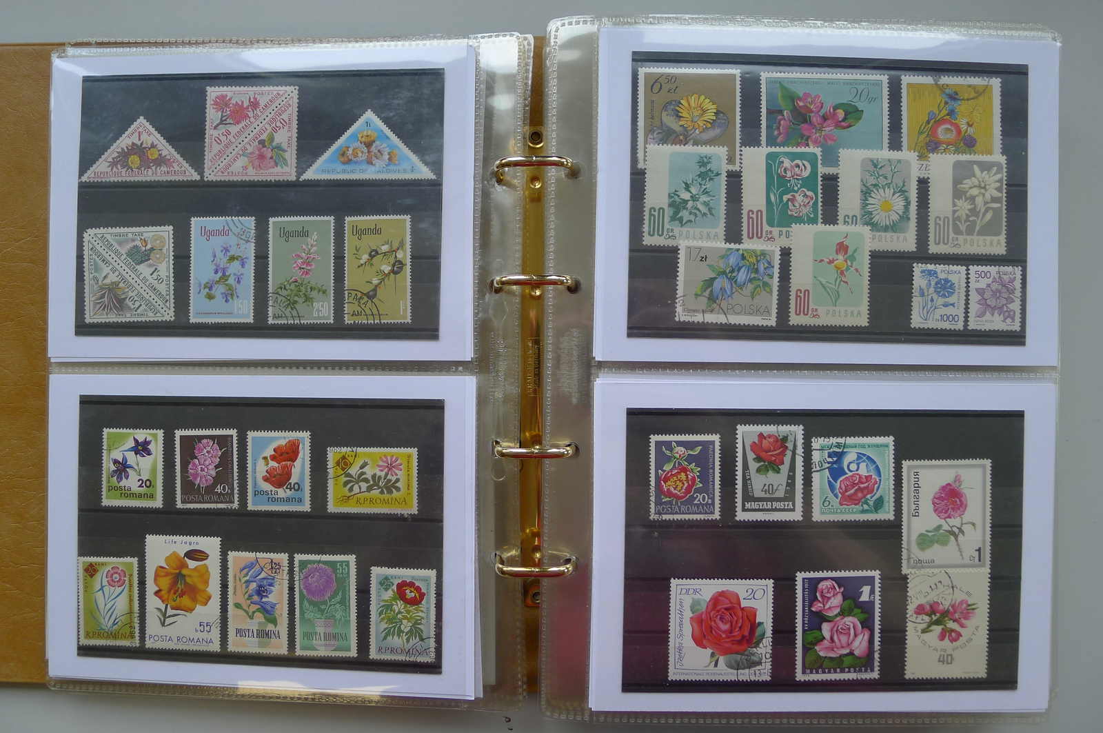 Image 50 for lot number 0006000962 for Luzernerraute Webshop 