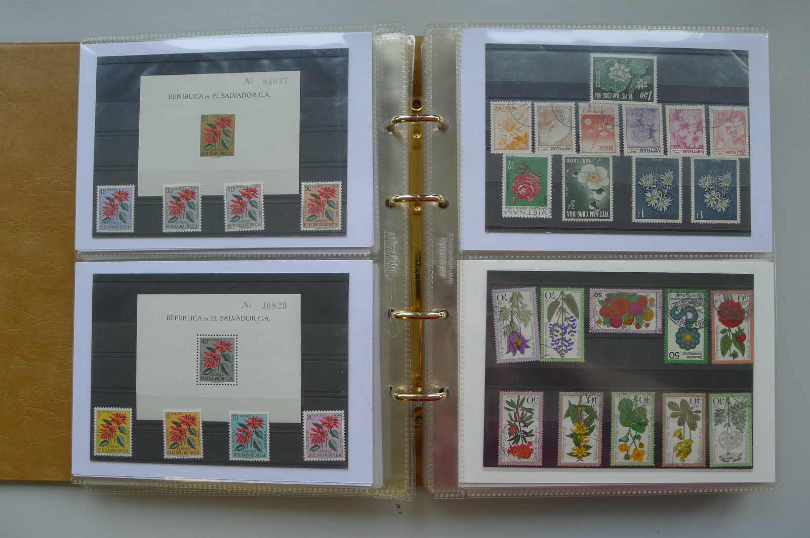 Image 51 for lot number 0006000962 for Luzernerraute Webshop 