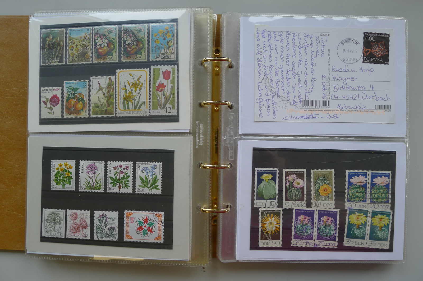 Image 53 for lot number 0006000962 for Luzernerraute Webshop 