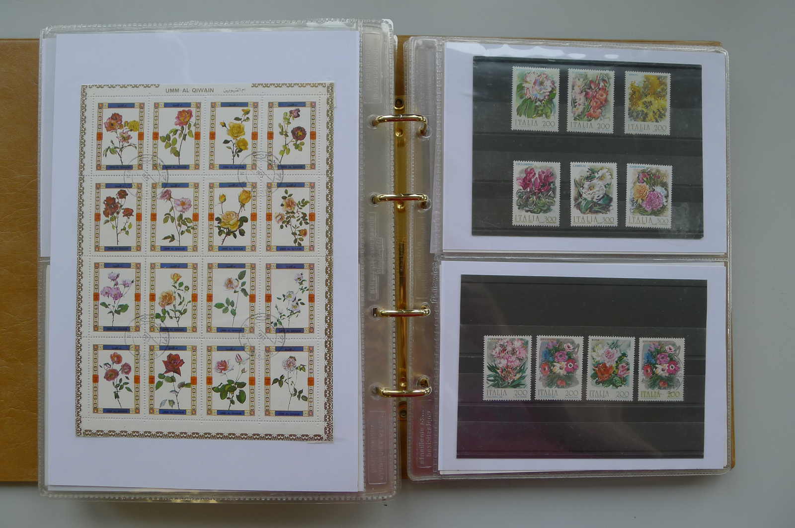 Image 54 for lot number 0006000962 for Luzernerraute Webshop 