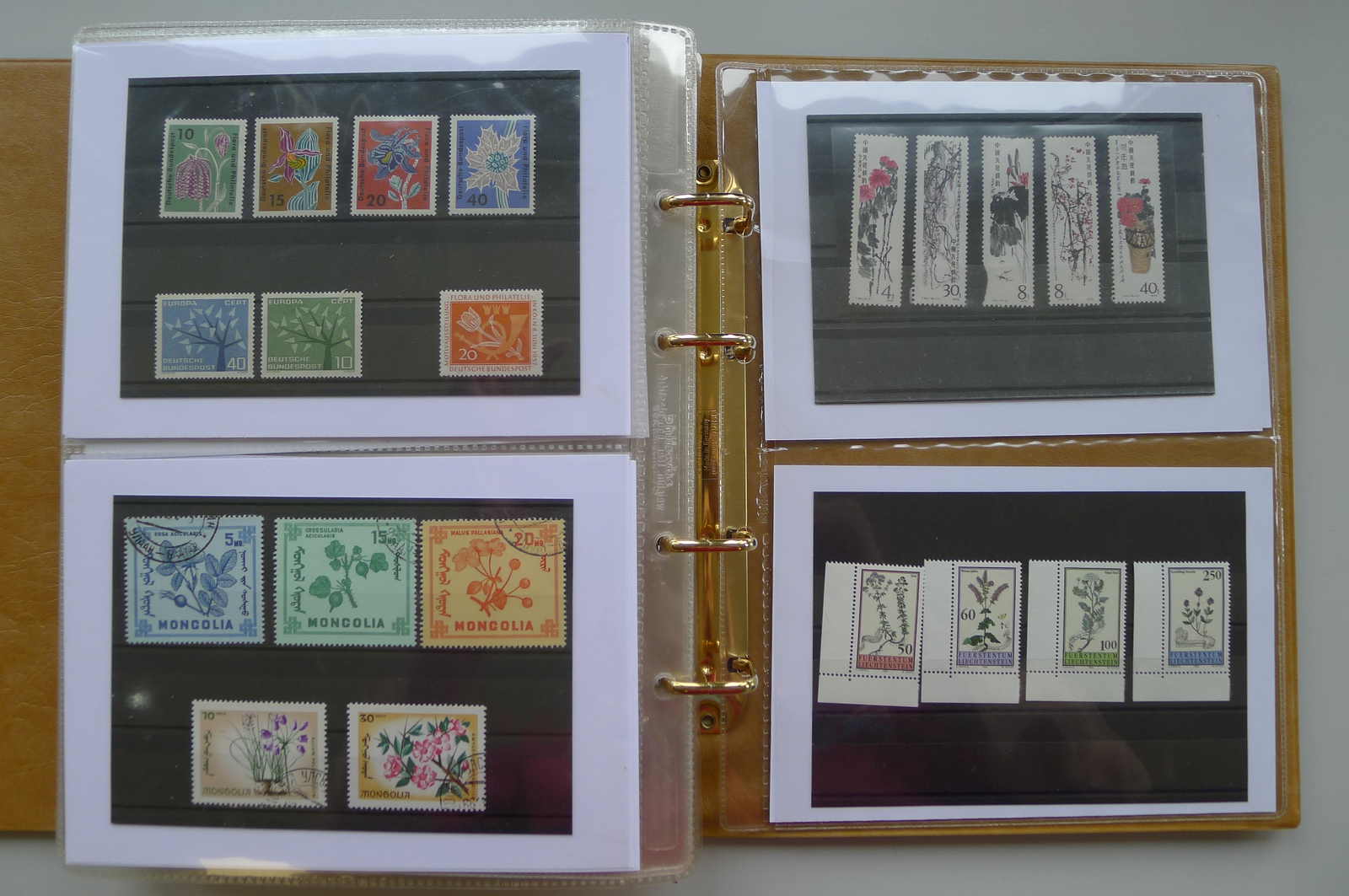 Image 55 for lot number 0006000962 for Luzernerraute Webshop 