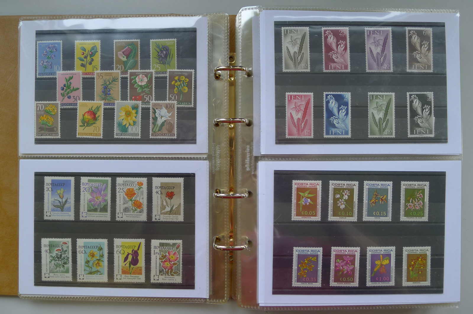 Image 56 for lot number 0006000962 for Luzernerraute Webshop 