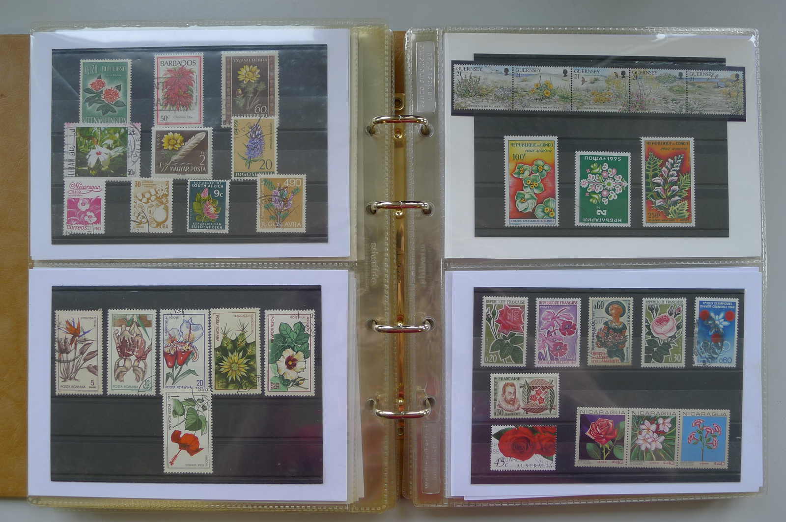 Image 58 for lot number 0006000962 for Luzernerraute Webshop 