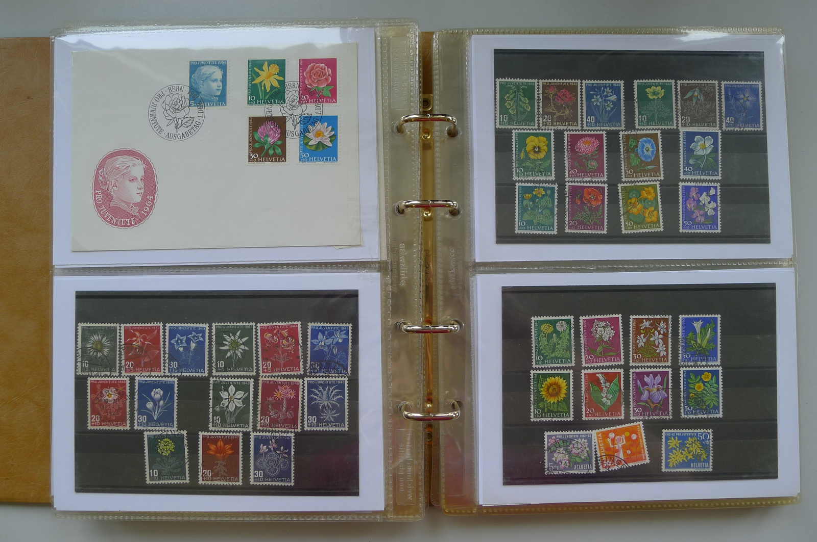 Image 60 for lot number 0006000962 for Luzernerraute Webshop 