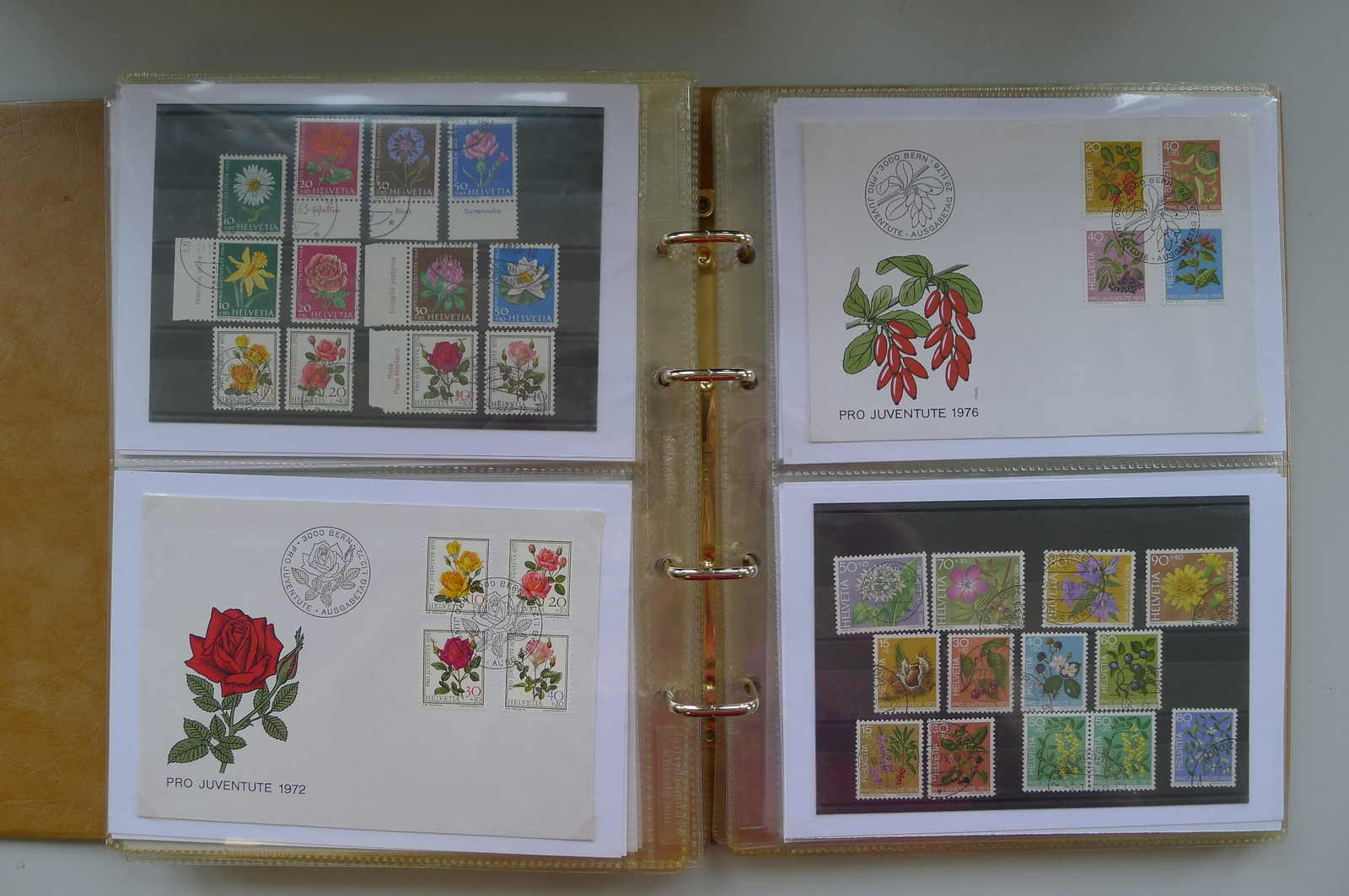 Image 61 for lot number 0006000962 for Luzernerraute Webshop 