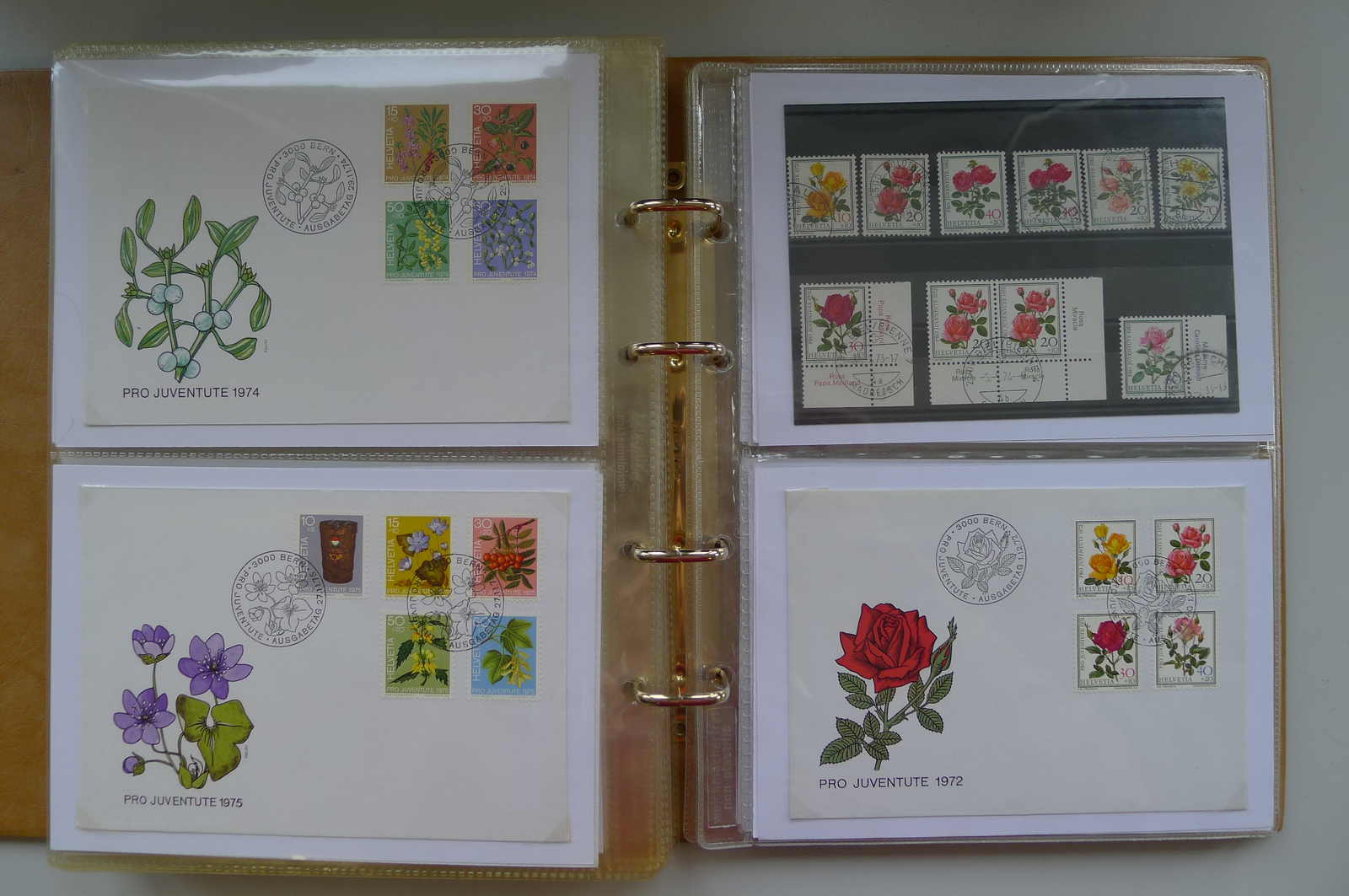 Image 62 for lot number 0006000962 for Luzernerraute Webshop 