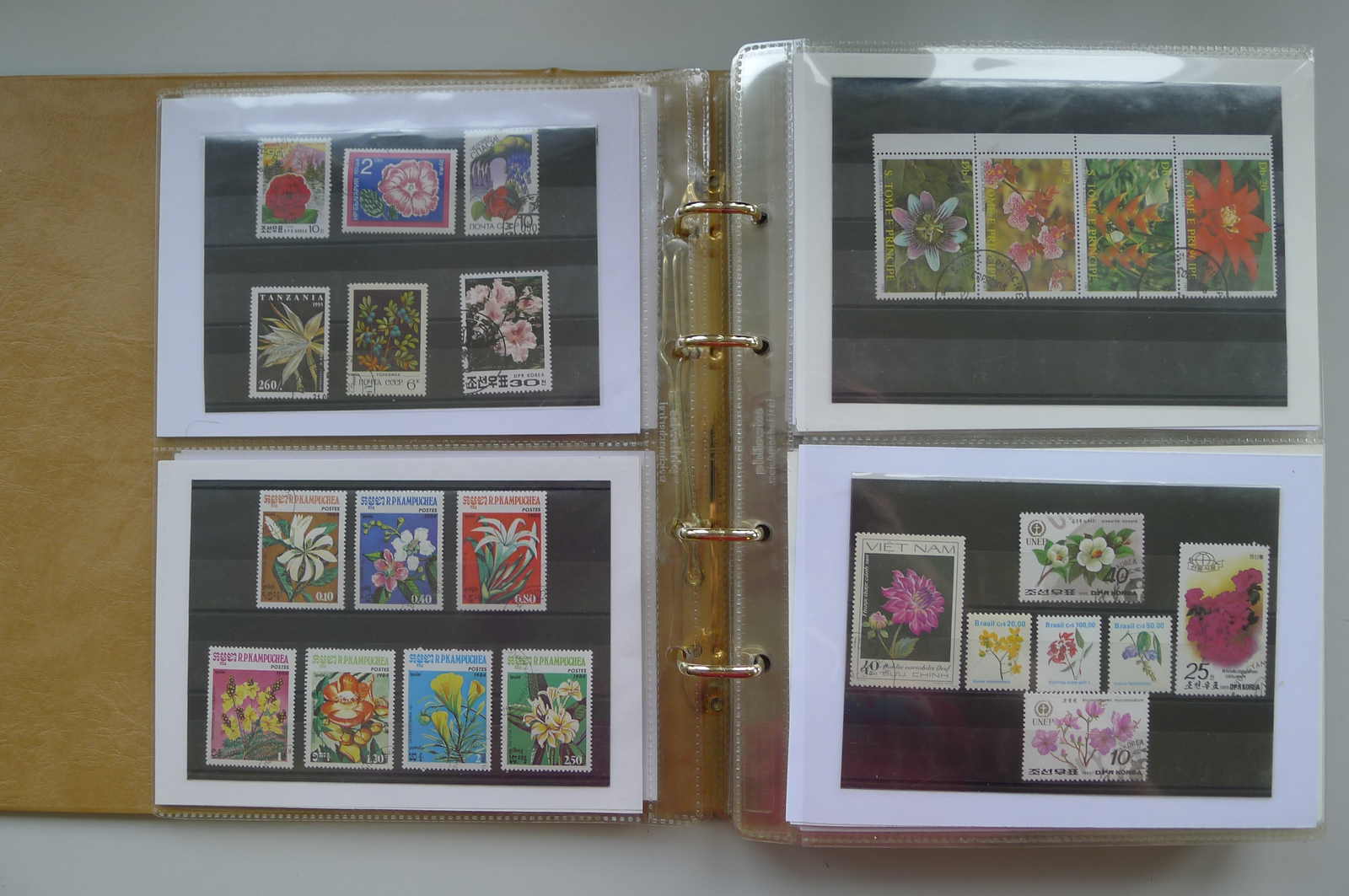 Image 64 for lot number 0006000962 for Luzernerraute Webshop 