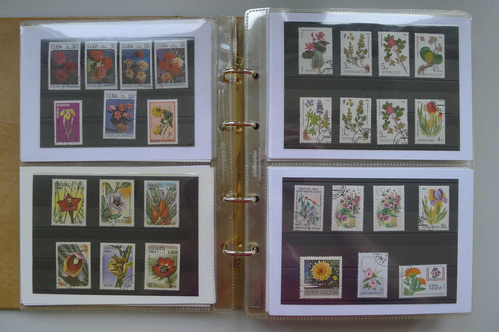 Image 65 for lot number 0006000962 for Luzernerraute Webshop 