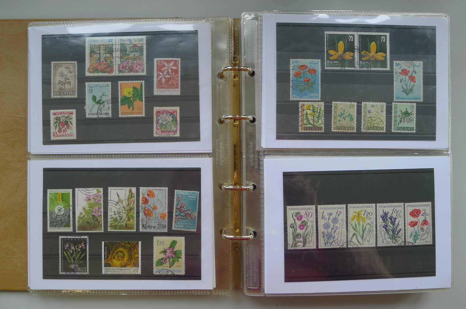 Image 66 for lot number 0006000962 for Luzernerraute Webshop 