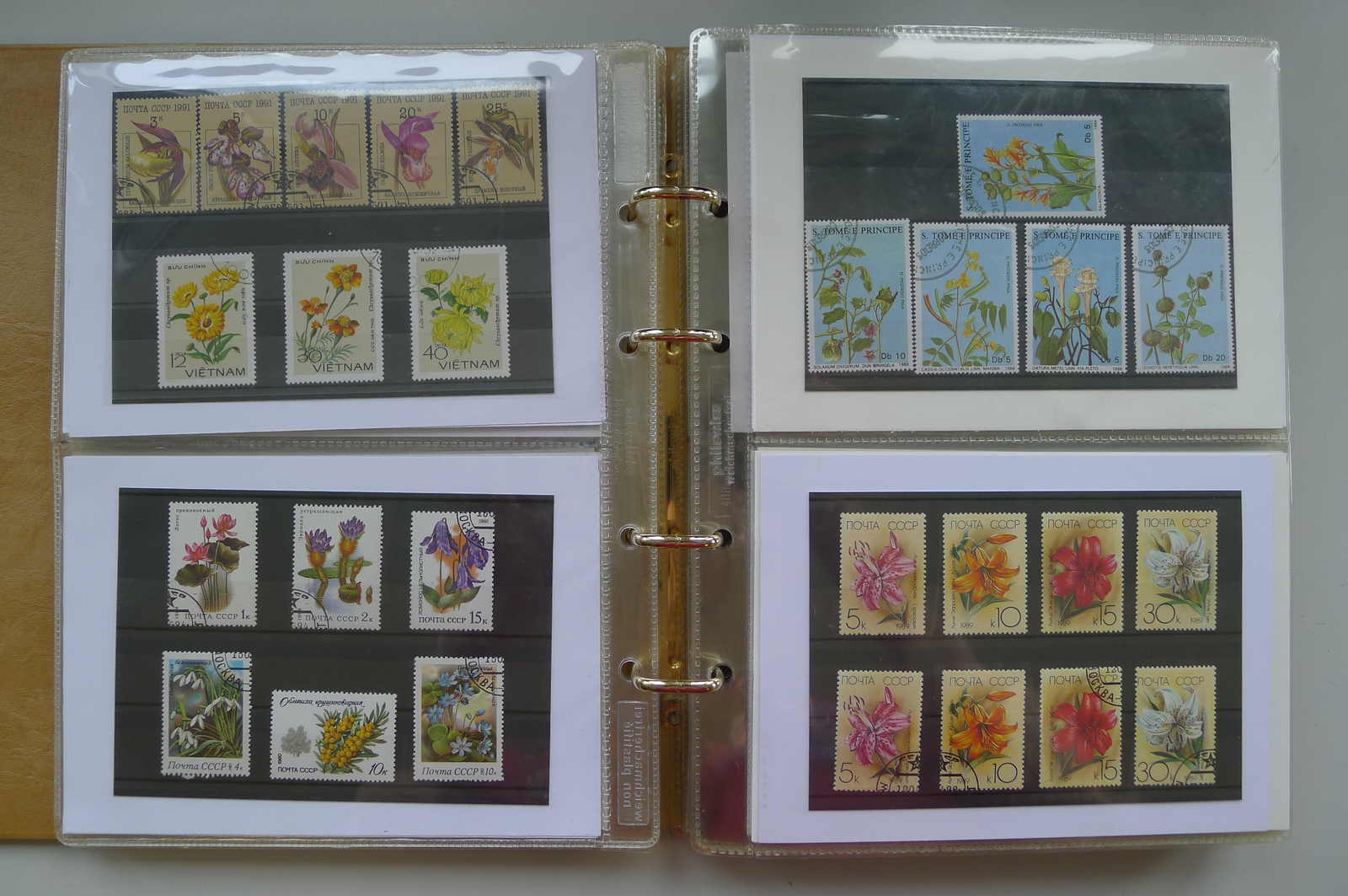 Image 67 for lot number 0006000962 for Luzernerraute Webshop 