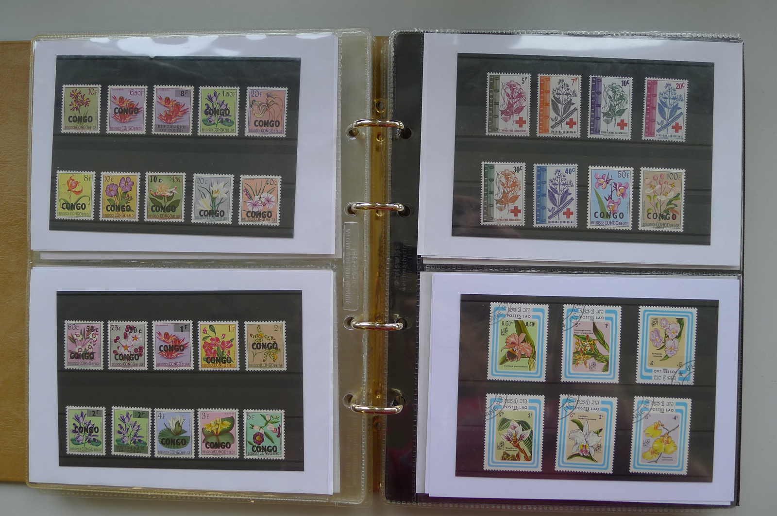 Image 69 for lot number 0006000962 for Luzernerraute Webshop 