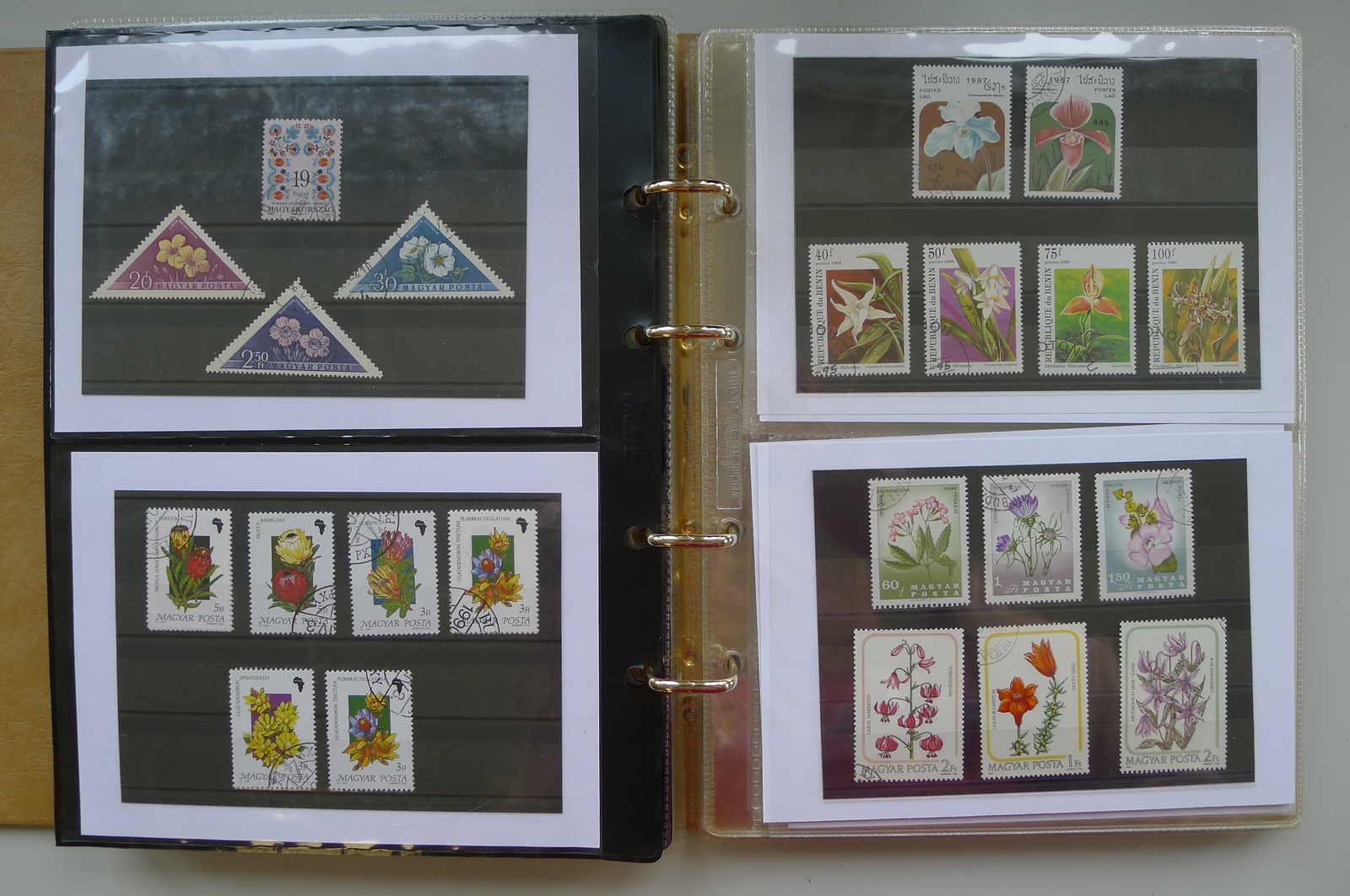 Image 70 for lot number 0006000962 for Luzernerraute Webshop 