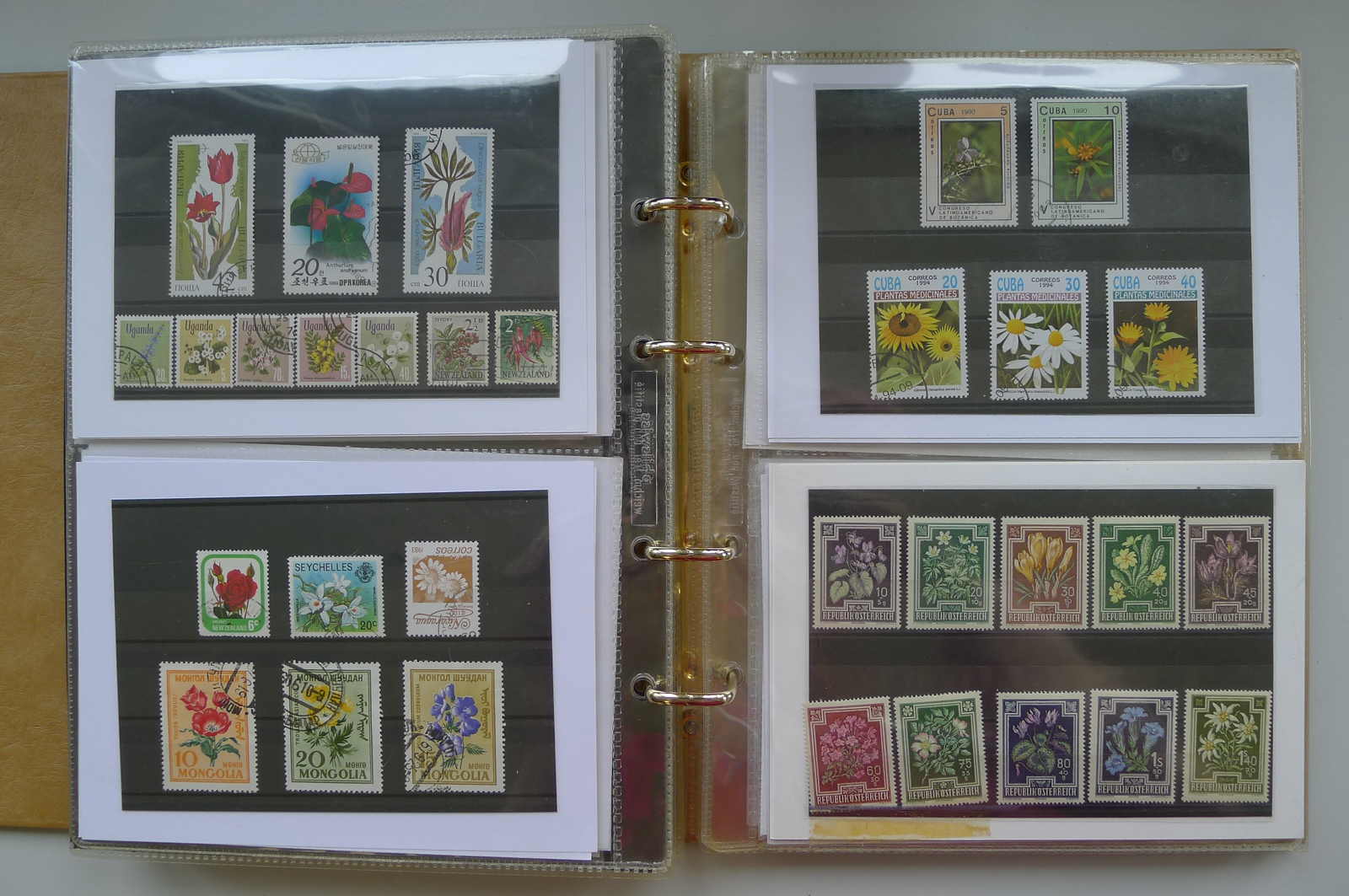 Image 71 for lot number 0006000962 for Luzernerraute Webshop 