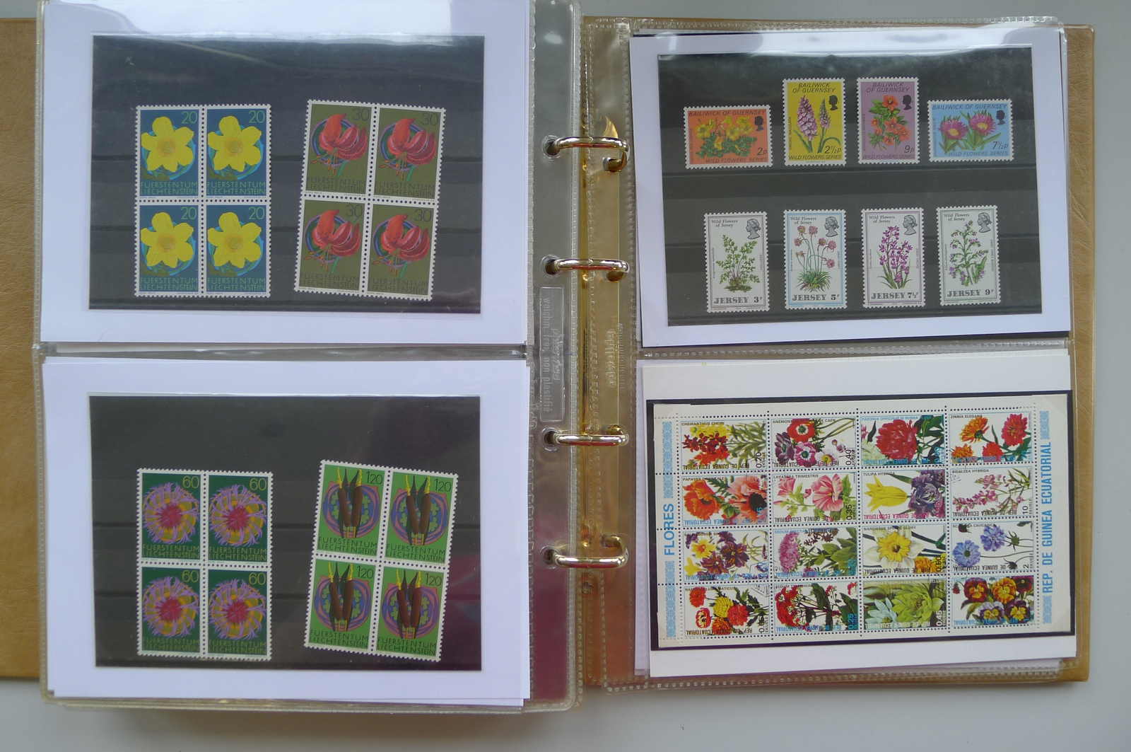 Image 72 for lot number 0006000962 for Luzernerraute Webshop 