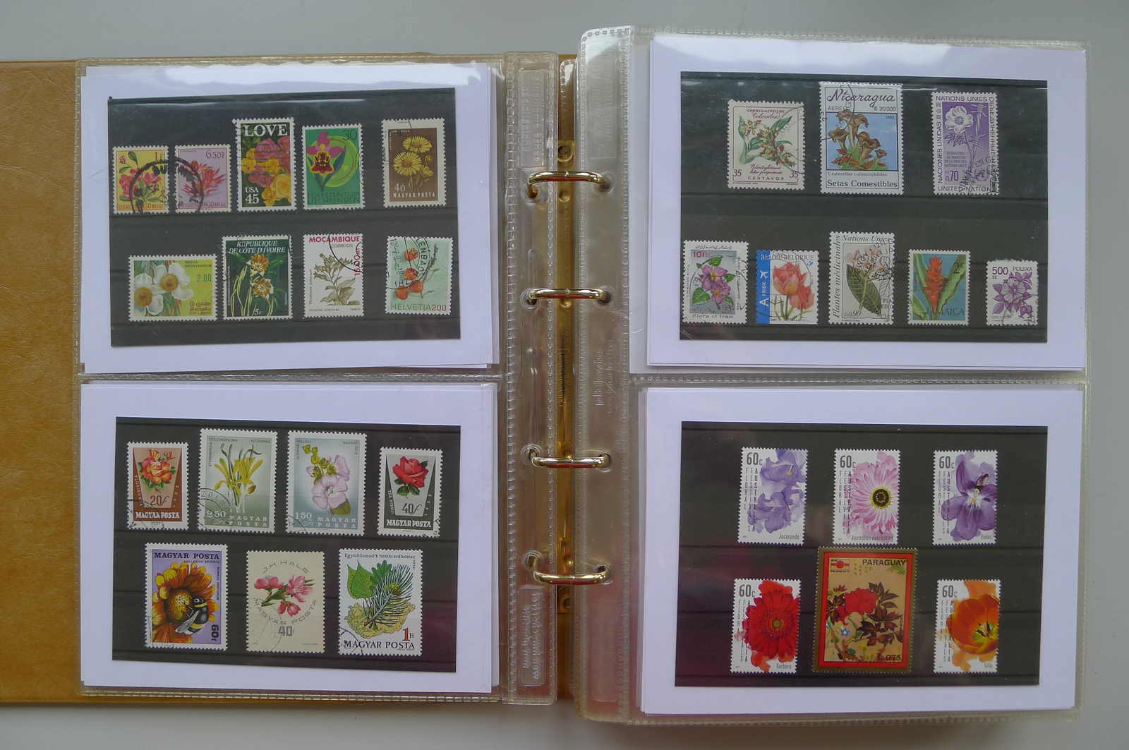 Image 74 for lot number 0006000962 for Luzernerraute Webshop 