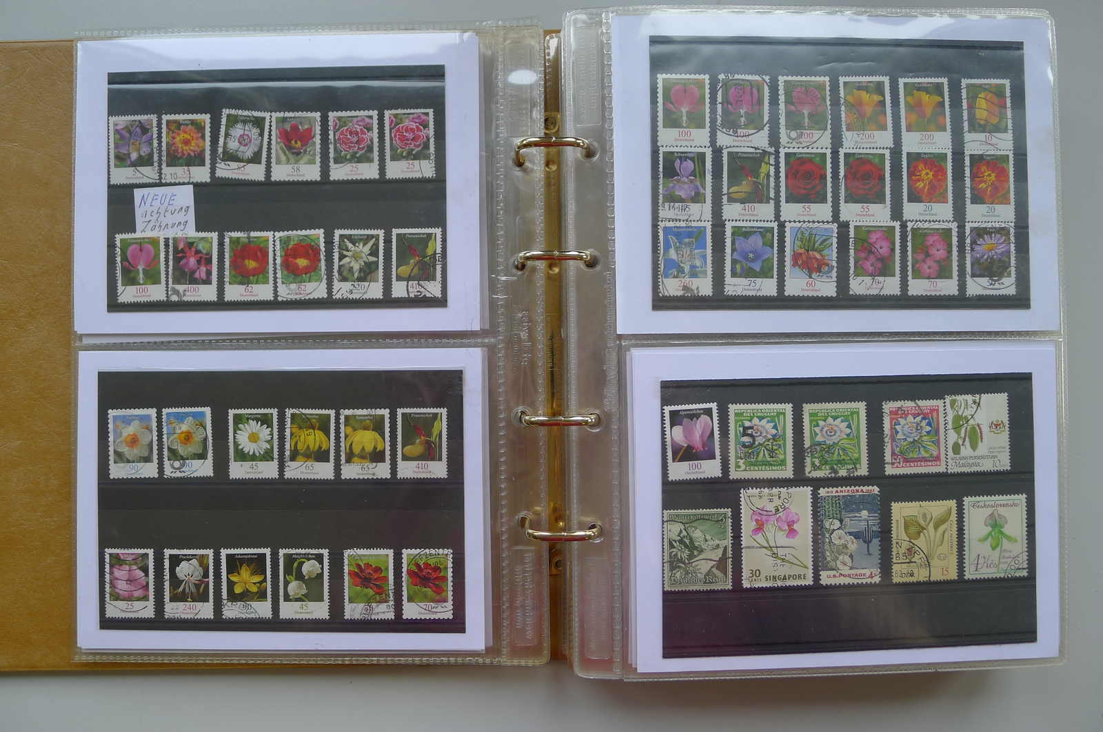 Image 75 for lot number 0006000962 for Luzernerraute Webshop 