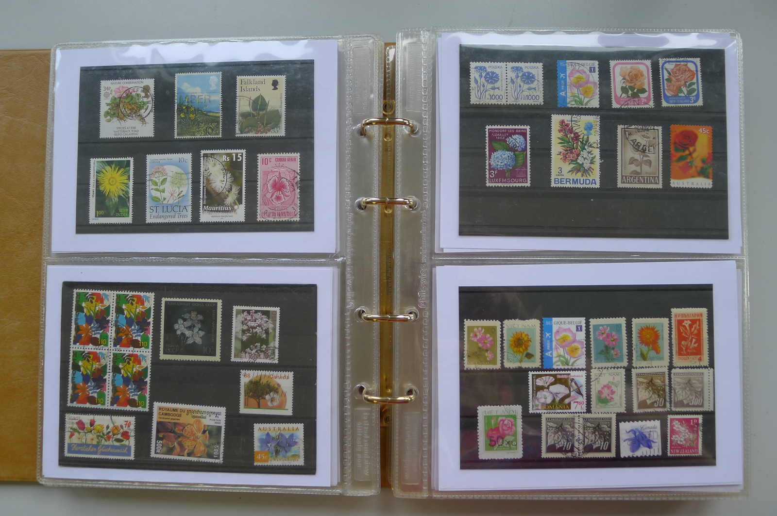 Image 77 for lot number 0006000962 for Luzernerraute Webshop 