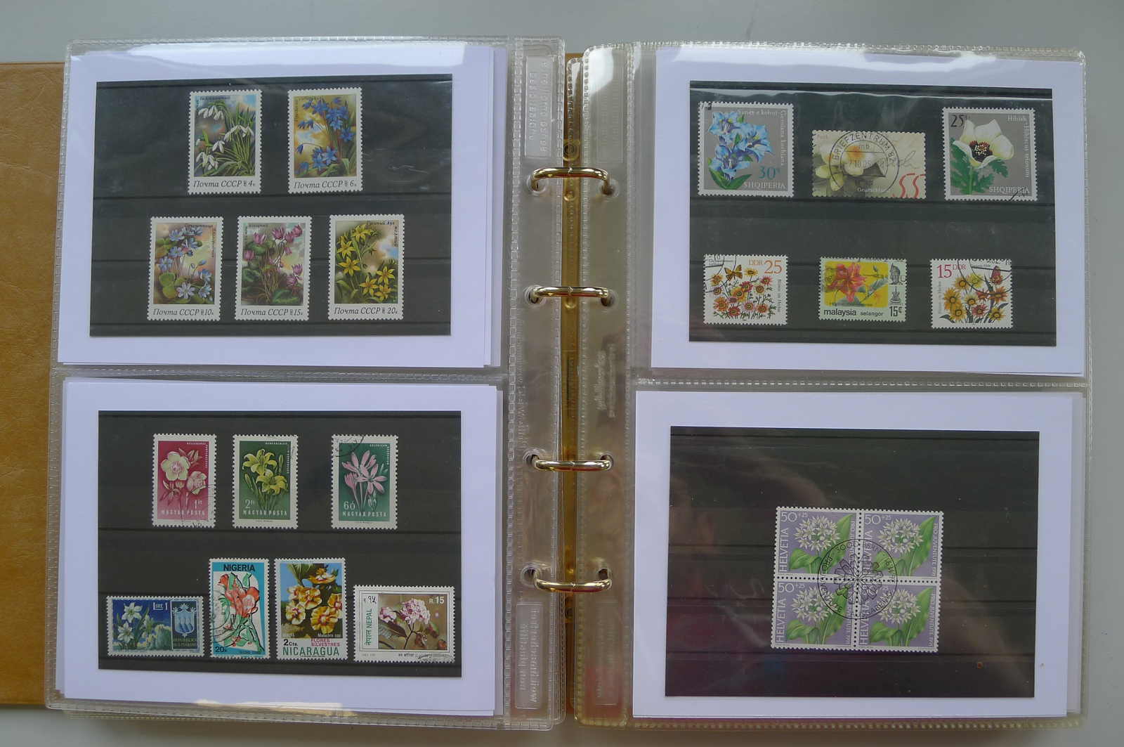 Image 78 for lot number 0006000962 for Luzernerraute Webshop 