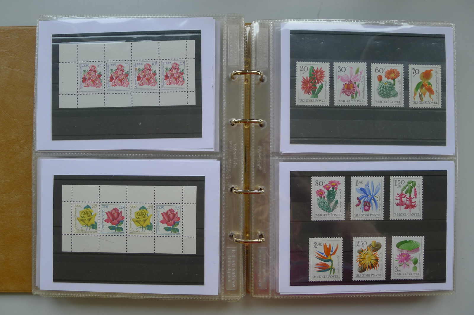 Image 79 for lot number 0006000962 for Luzernerraute Webshop 